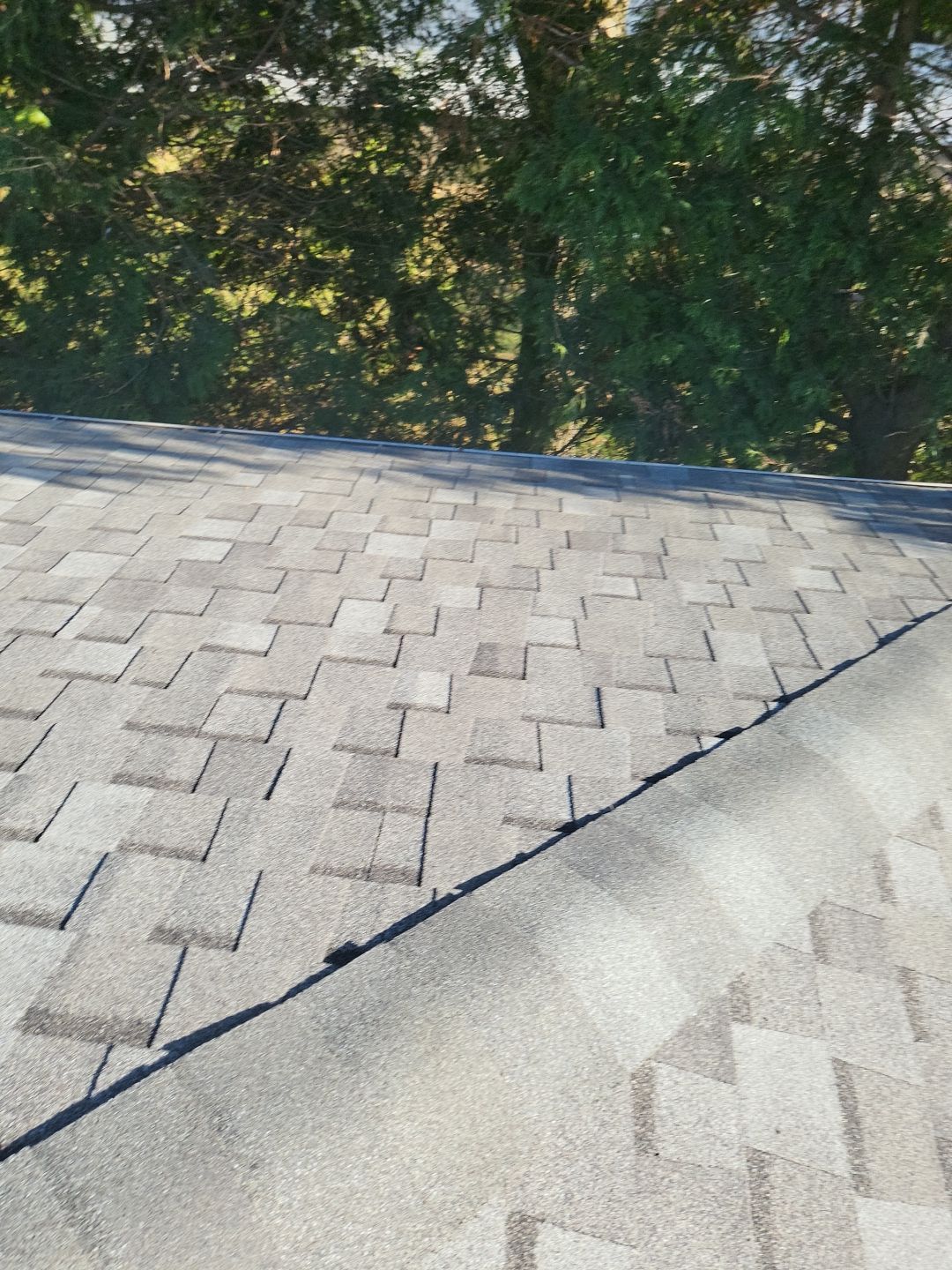 ATLAS PINNACLE COLOR: COASTAL GRANITE DRIP EDGE: TUXEDO GRAY by Eagle Eye Roofing