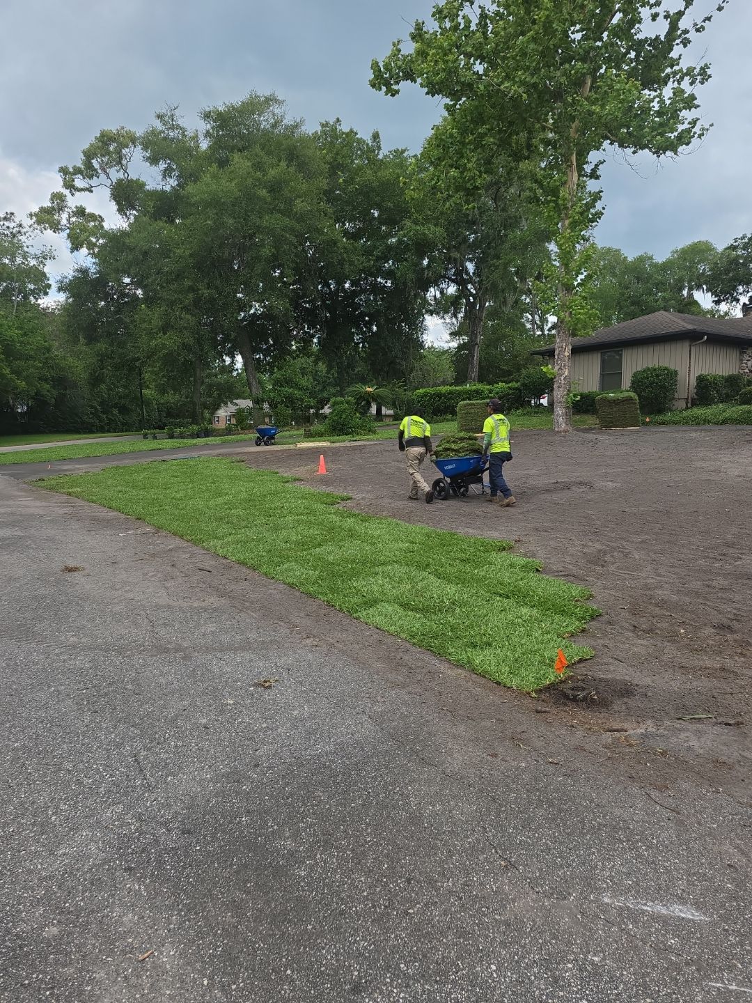 Deerwood Resident | Sod & Plant Install by ProGreen Services