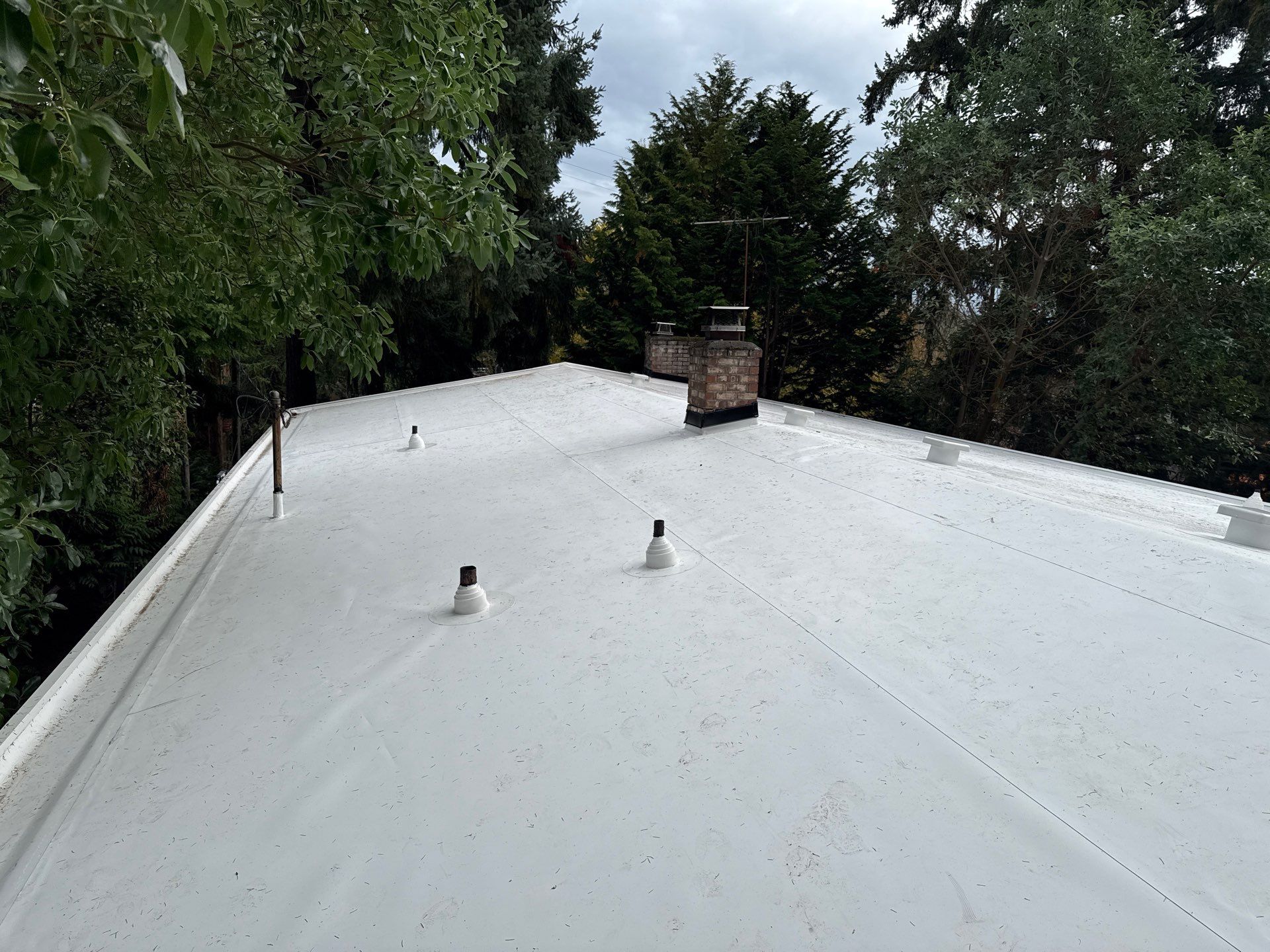Seattle WA, GAF Everguard TPO  by Proline Roofing & Restoration LLC
