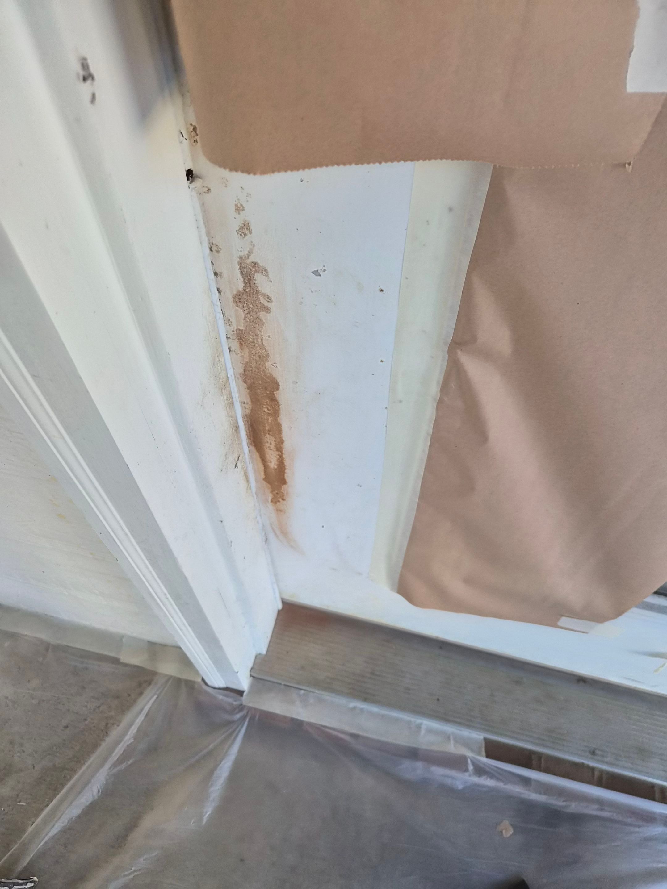 Refreshing the Exterior Paint in Whitehouse, TX by Quality Coats Painting