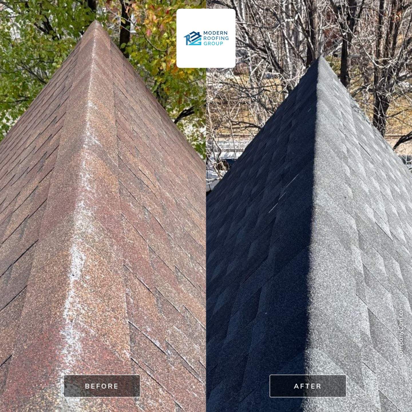 Old dog learns new tricks! by Modern Roofing Group
