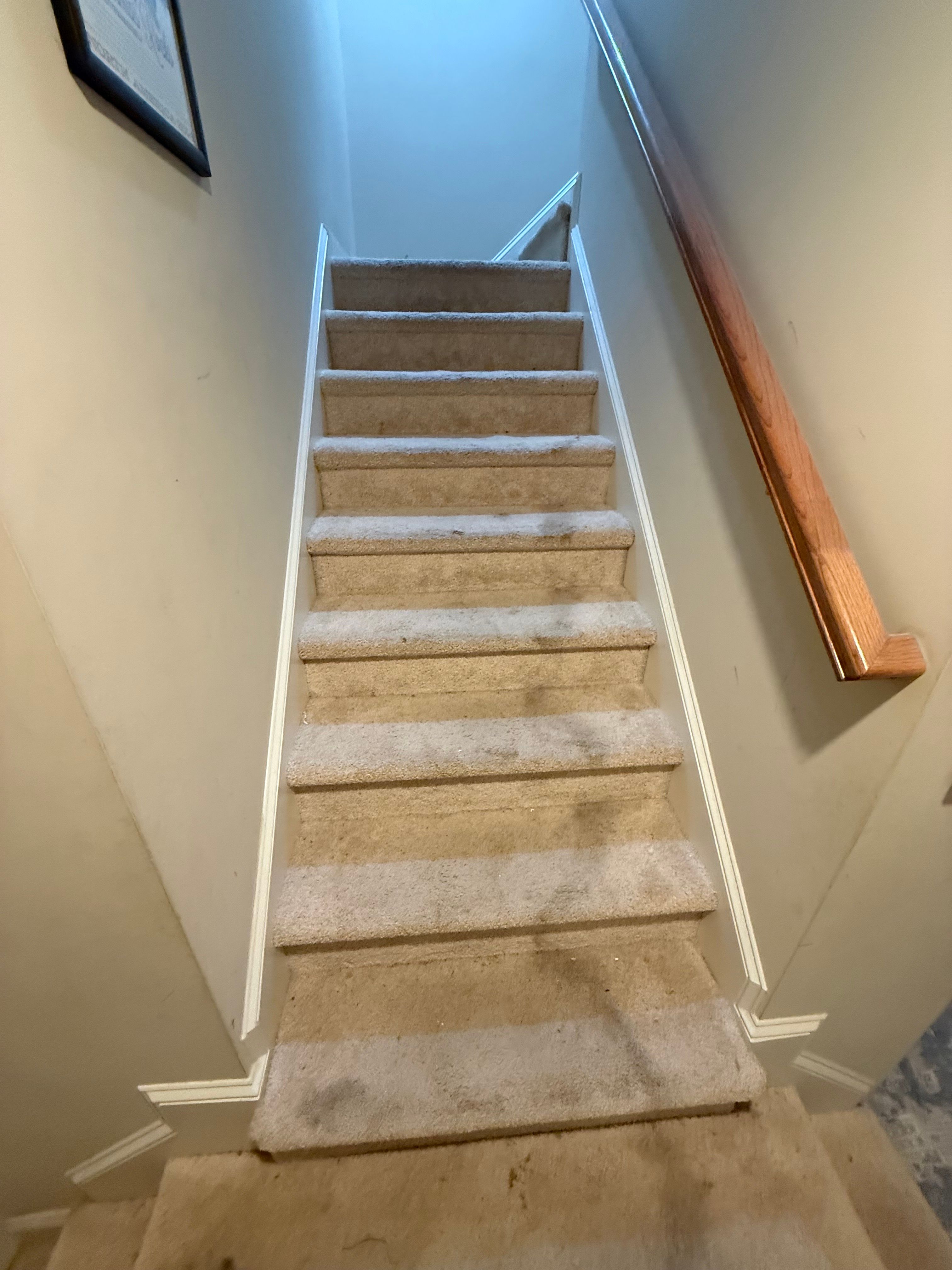 Project: Surrey - Basement Renovation by Hammer Time Remodeling & Repairs, LLC