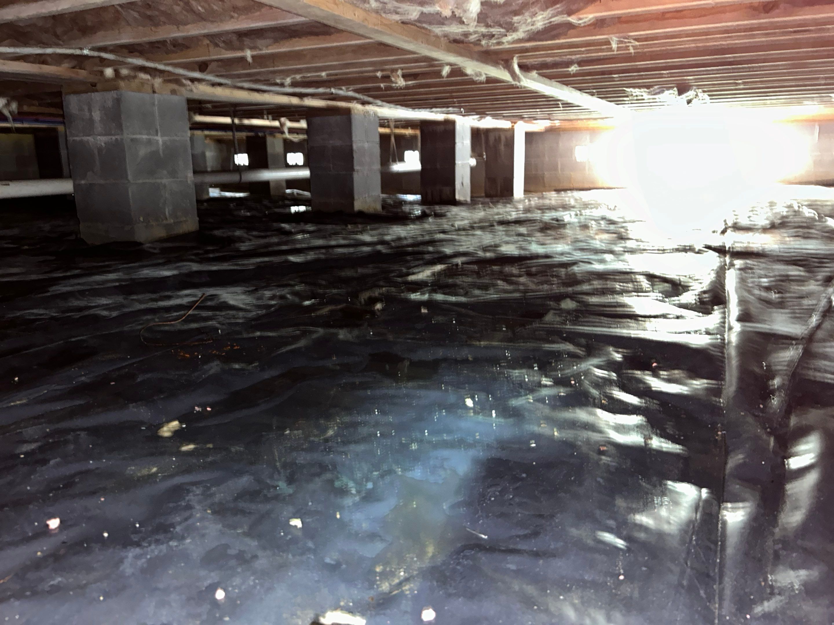 Premium Encapsulation with 20Mil, Borafoam insulation and Light System. by Impact Crawlspace