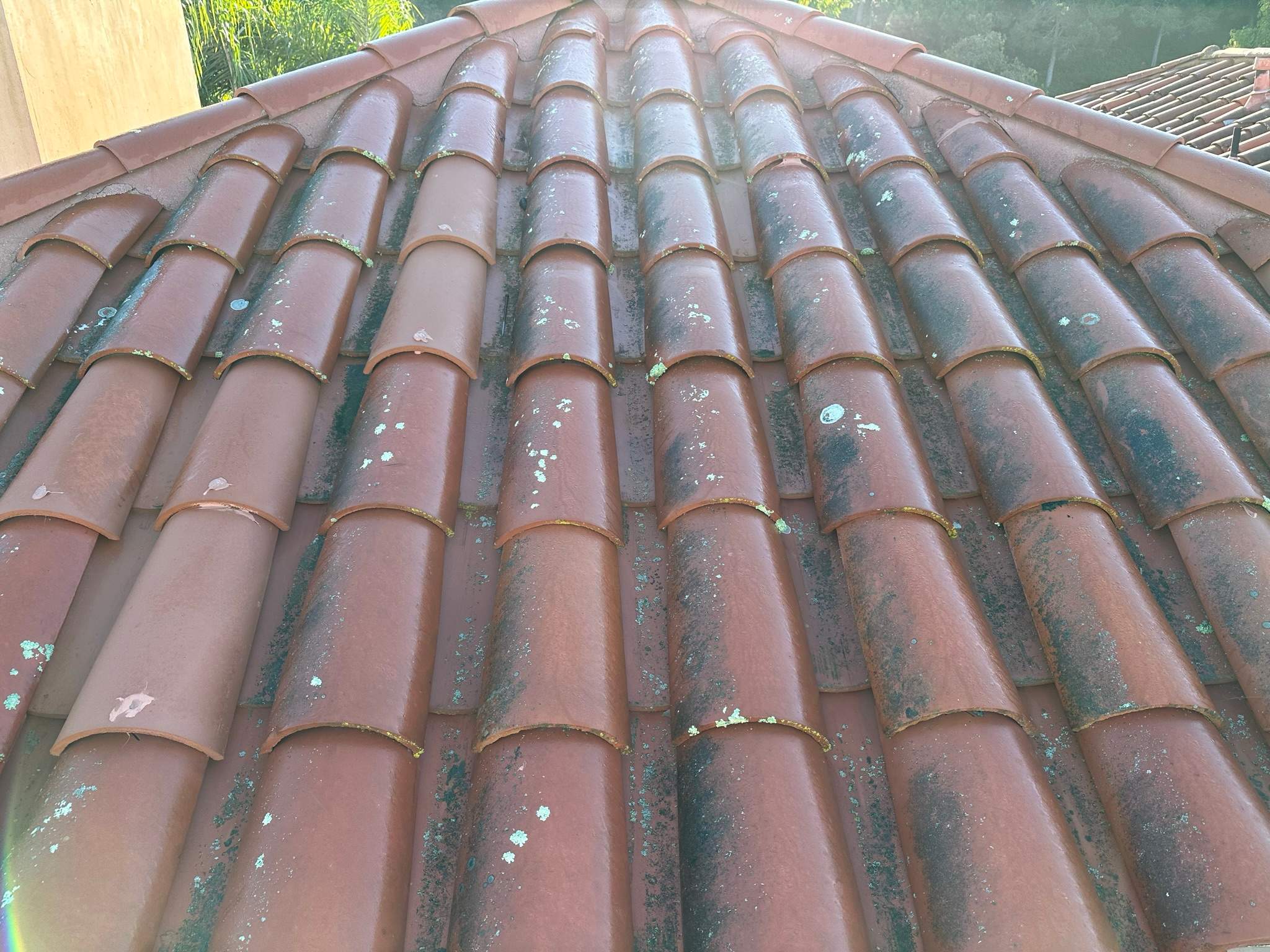 Orange County Clay Tile Roof Soft Wash on Unwalkwable Roof by Property Cleaning Experts