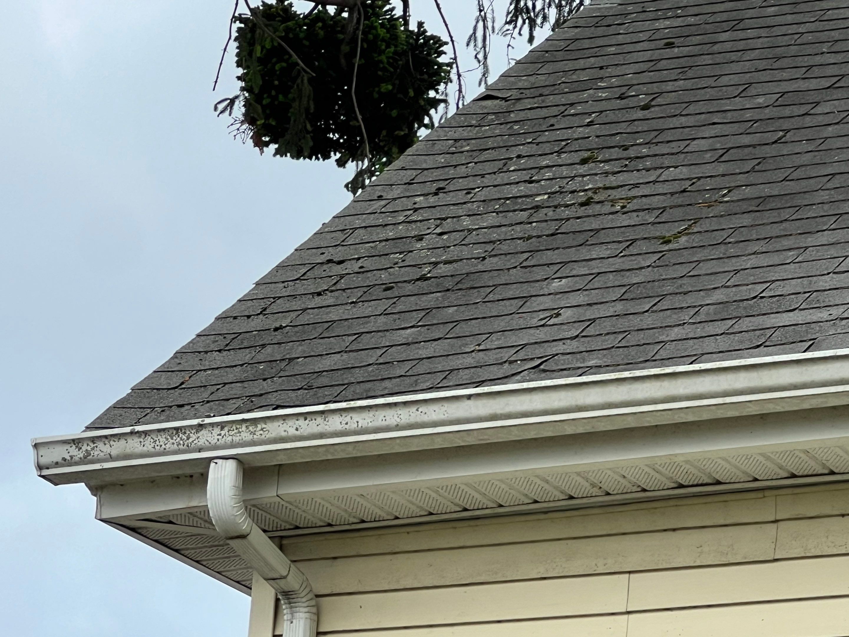 Roof Replacement & Fascia Upgrade Methuen, MA by Mighty Dog Roofing of Greater Middlesex County