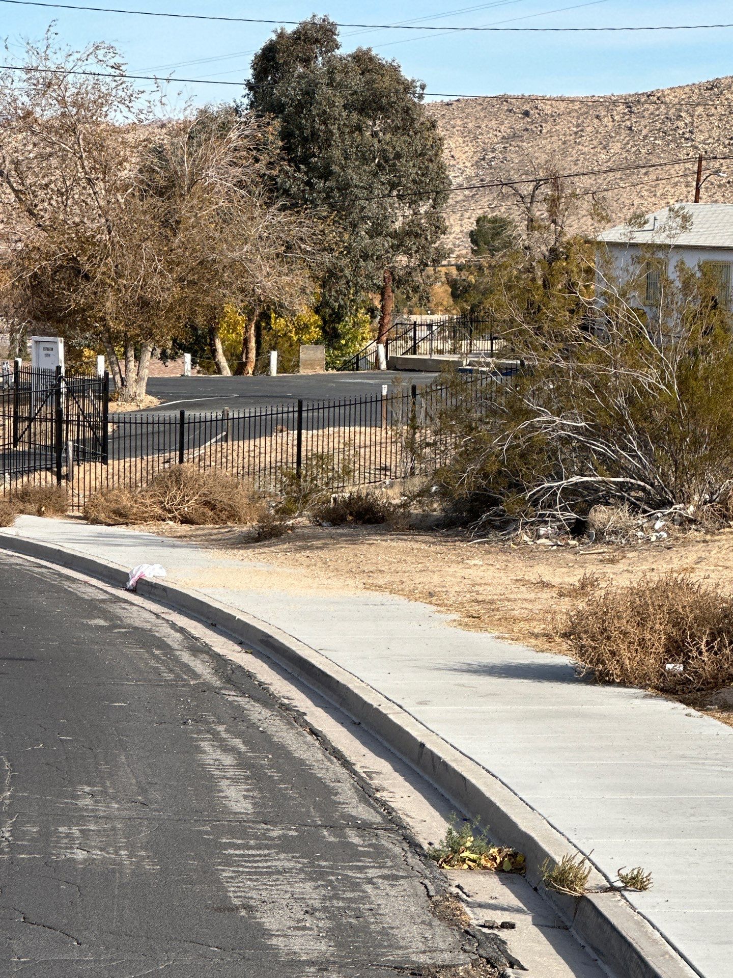 Wrought Iron Fence by Fence Guys Inc. 