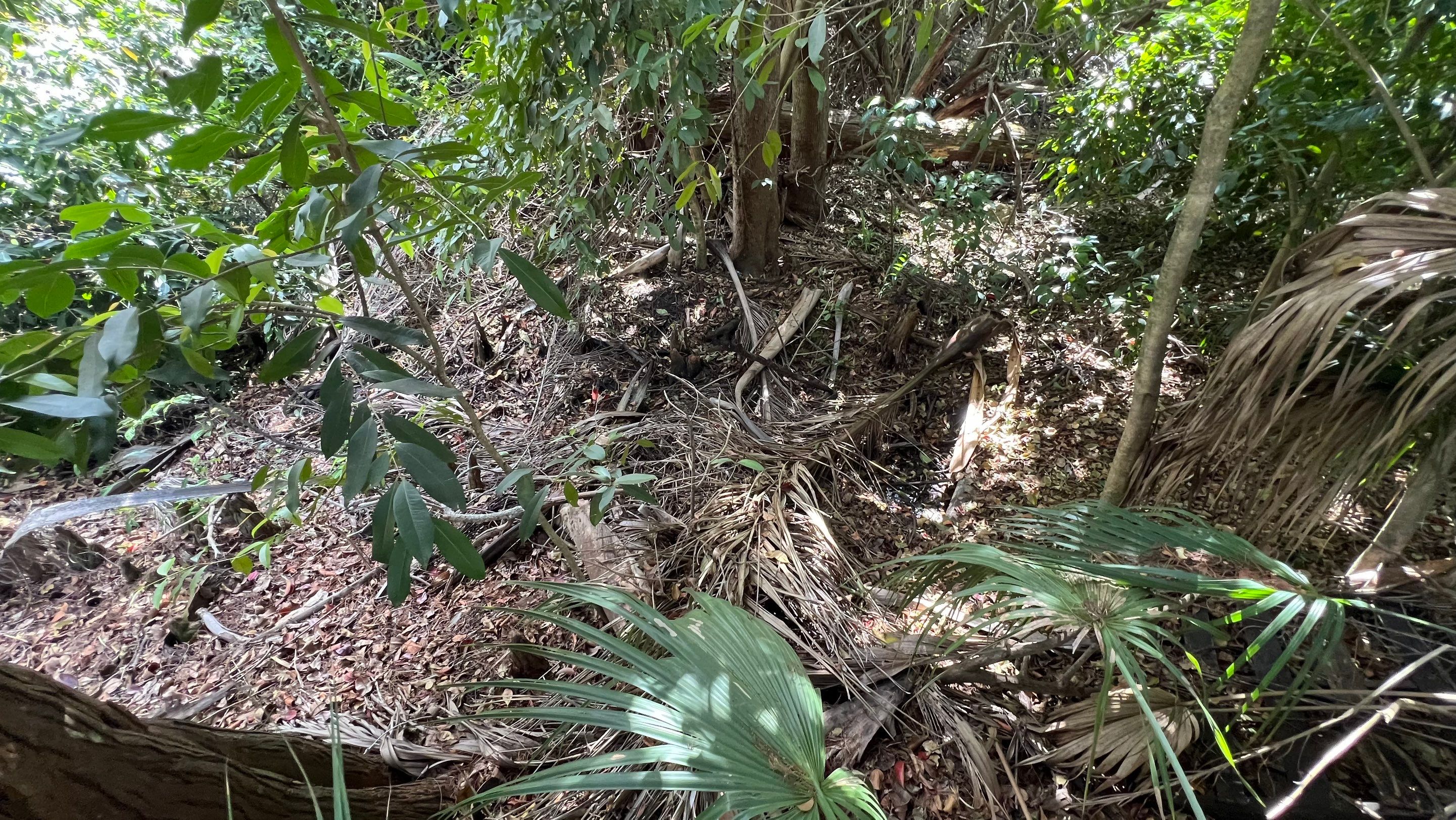 Naples Community Storm Water System Maintenance by APS Power & Water