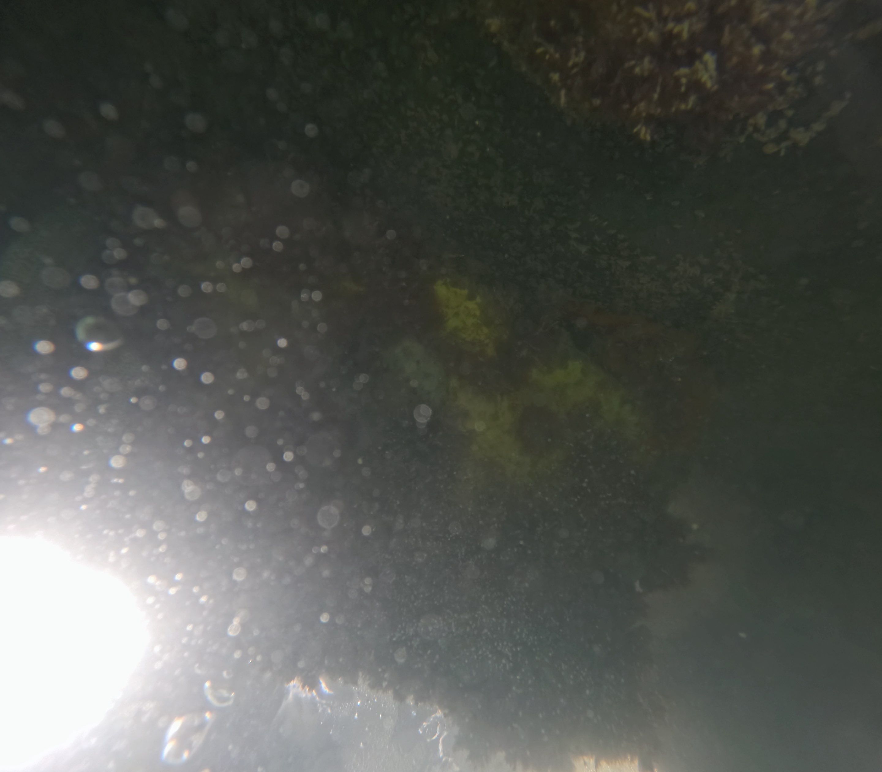 Project in Marco island, FL by Florida Hull Cleaning 