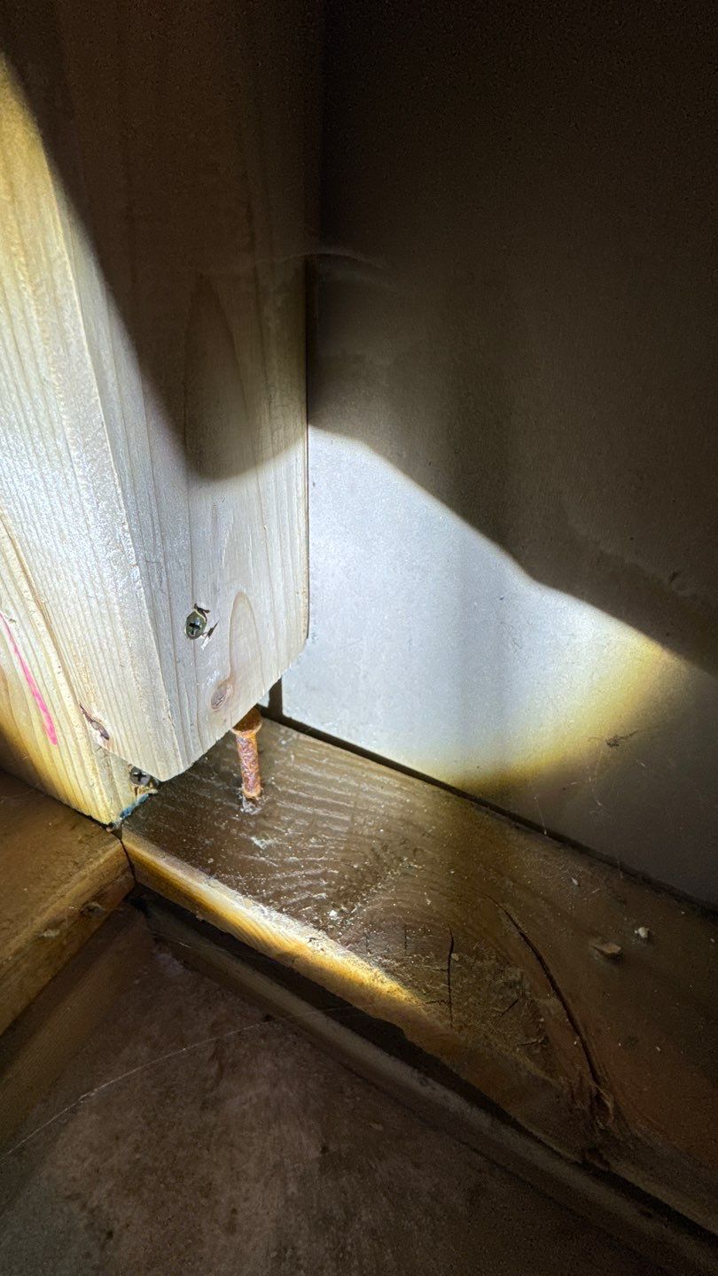 Mold Damage Project in Thornton by Accountable Home Services