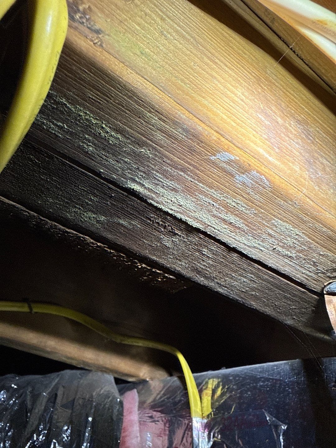Post‑Remediation Clearance Test & Corrective Mold Remediation, Dover, DE. by Healthy Home Solutions