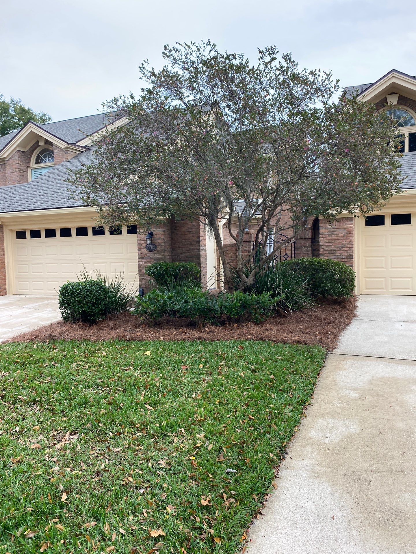 Deerwood Pointe | Tree Removal & Pine Straw Installation by ProGreen Services