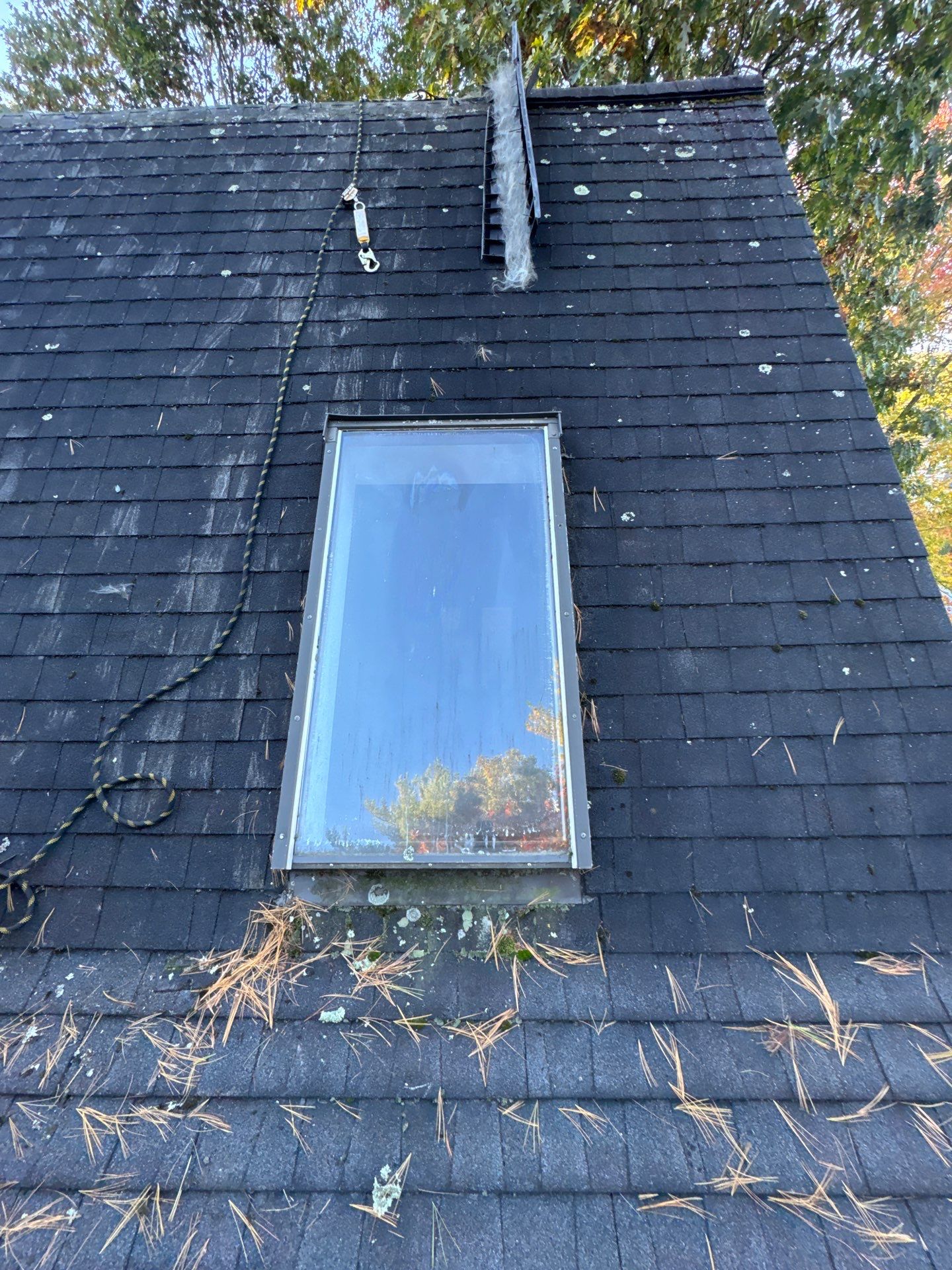 Milford Complete Roof Replacement with Velux Skylight Upgrade by Mighty Dog Roofing of Greater Middlesex County