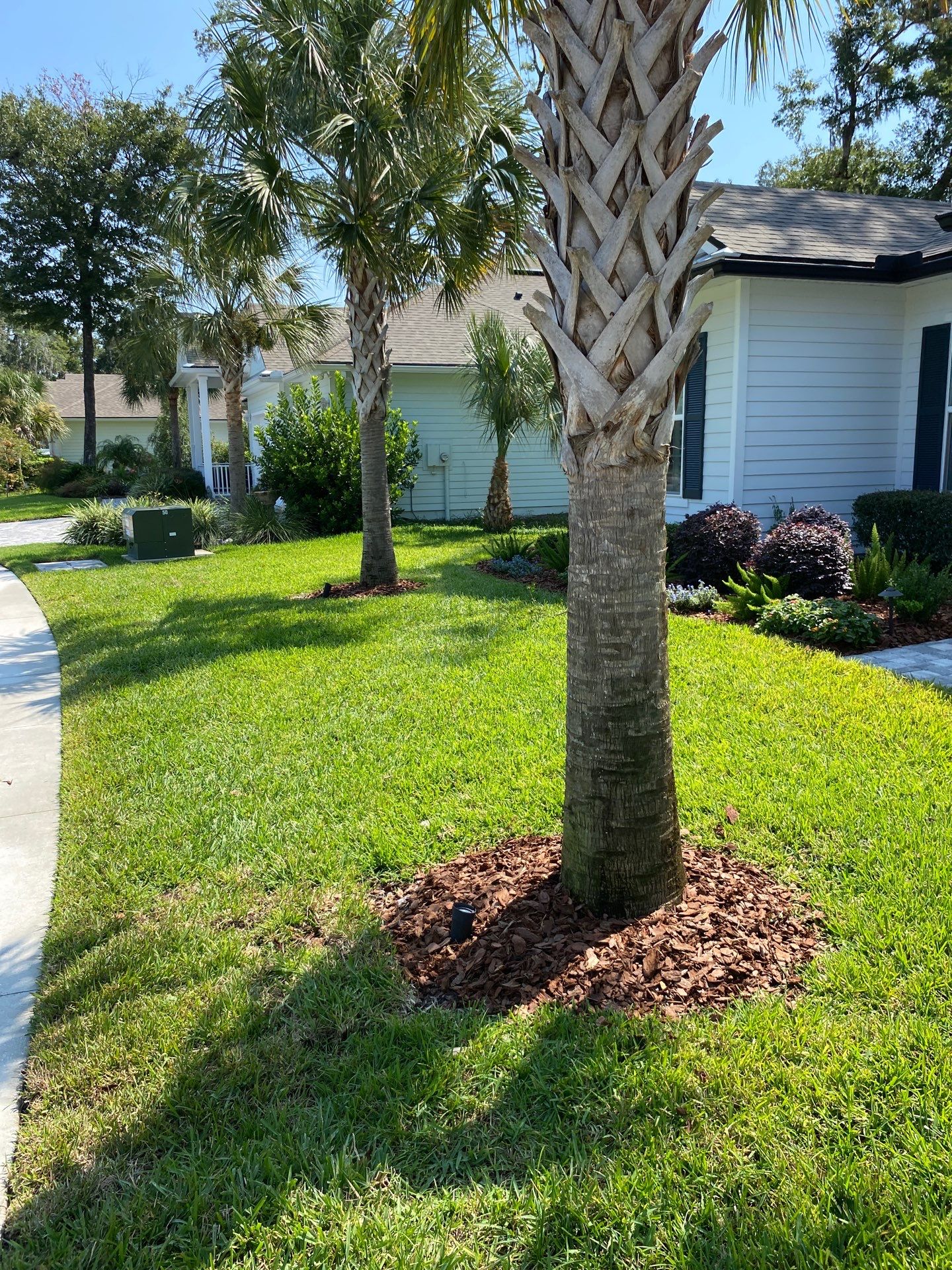 Pine Bark Install | Residential by ProGreen Services