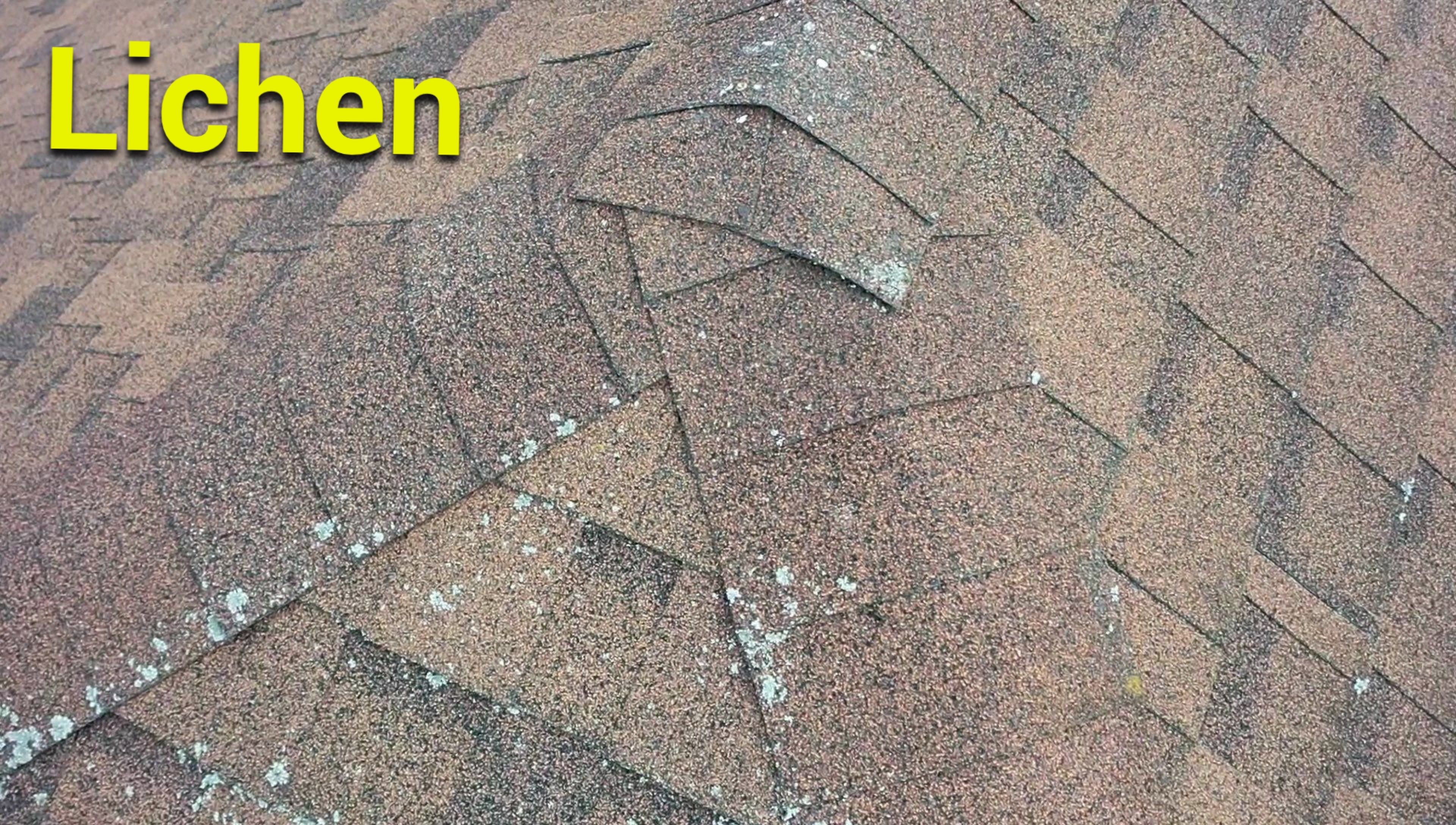 Save The Life Of Another Roof. Don’t Prematurely Replace Your Roof.  by Save My Roof,LLC
