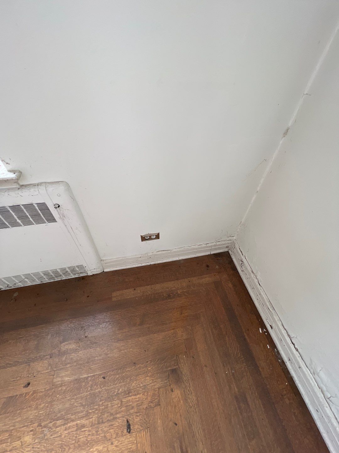 Mold Remediation by Accountable Home Services