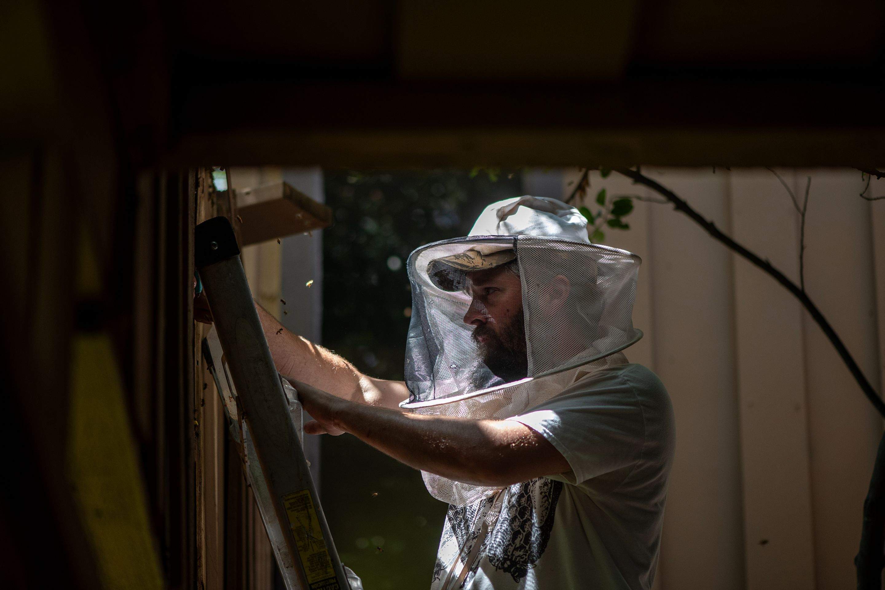 Condo Patio by Rockwall Honey Bee Company