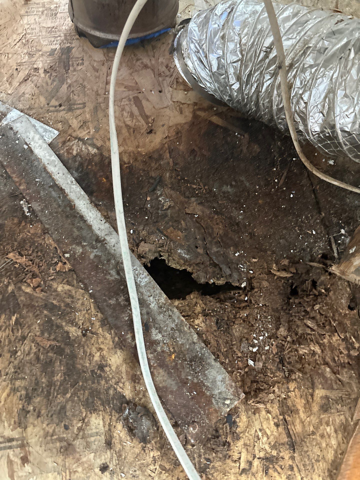 Home Mold Removal by Ampm Restoration Services