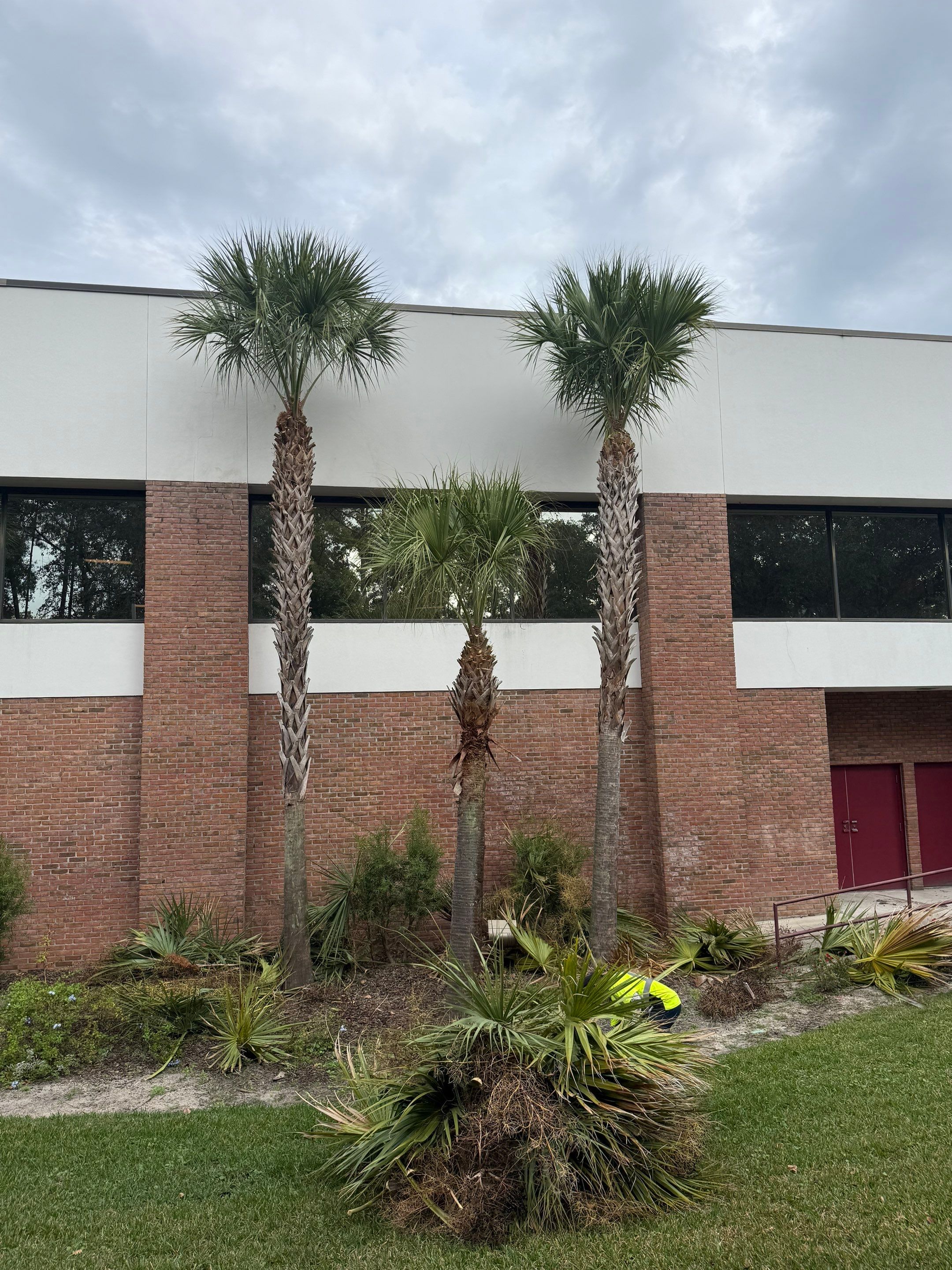 Volunteer Work | Episcopal High School of Jacksonville by ProGreen Services