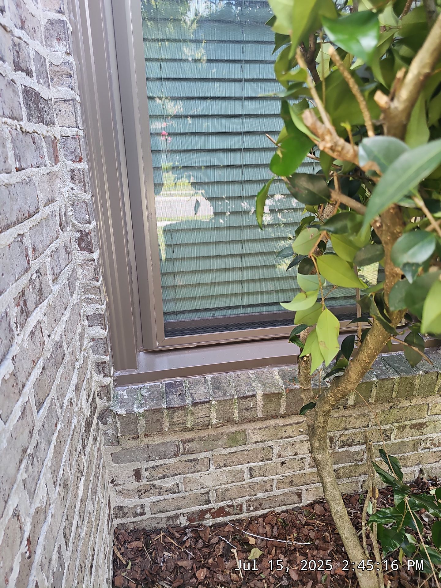 Koch Project in Birmingham by The Window Source