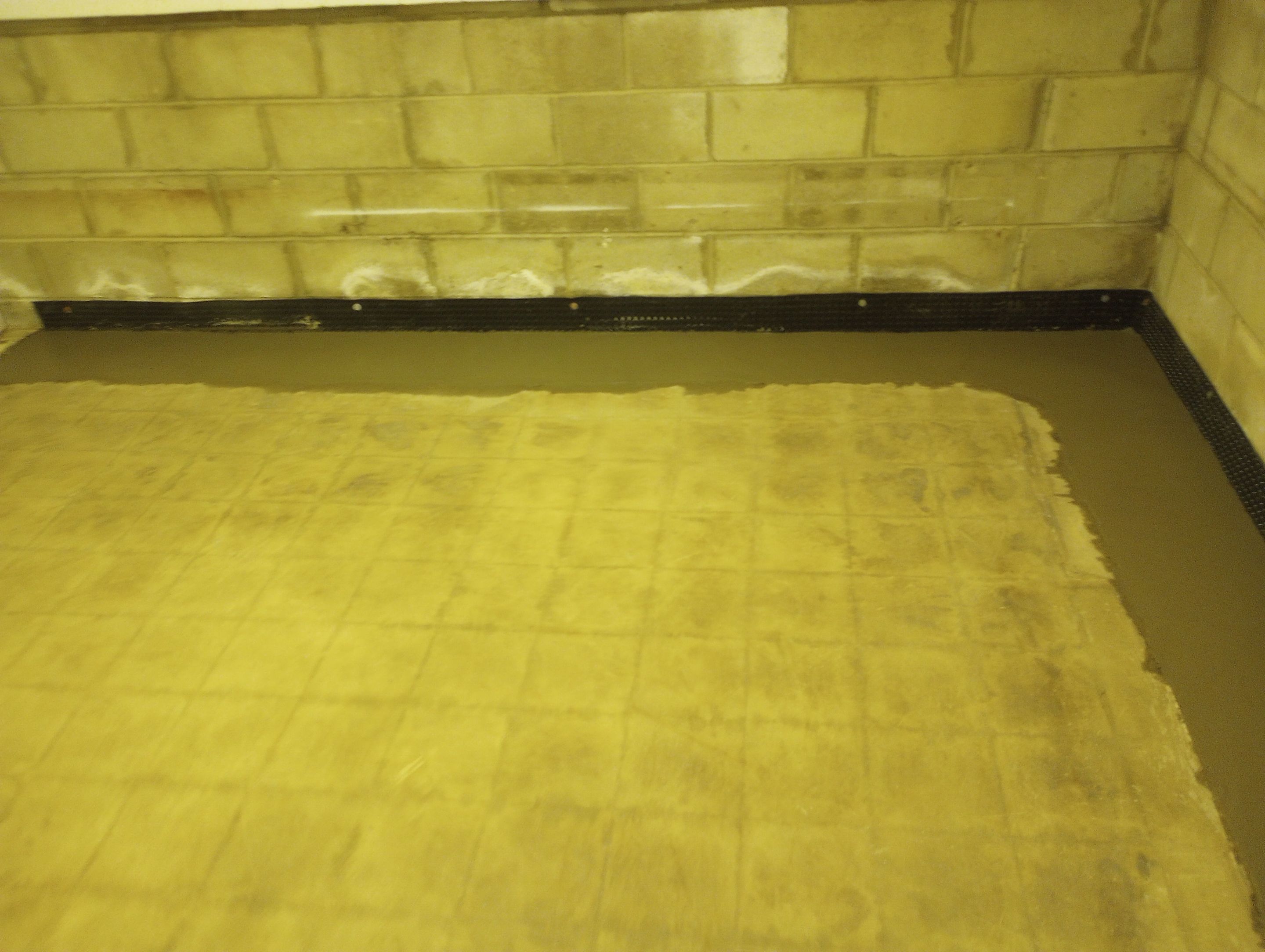 Eliminating Moisture & Mold for Betsy by Waterproofing Northeast