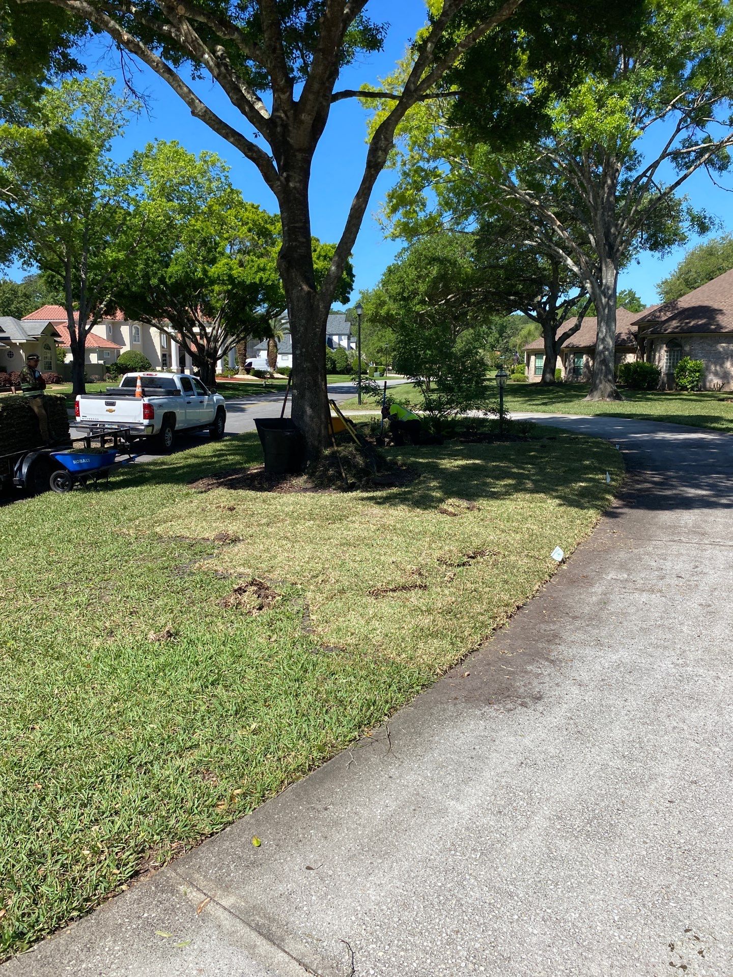 Deerwood Resident | Tree Trimming and Sod Installation) by ProGreen Services