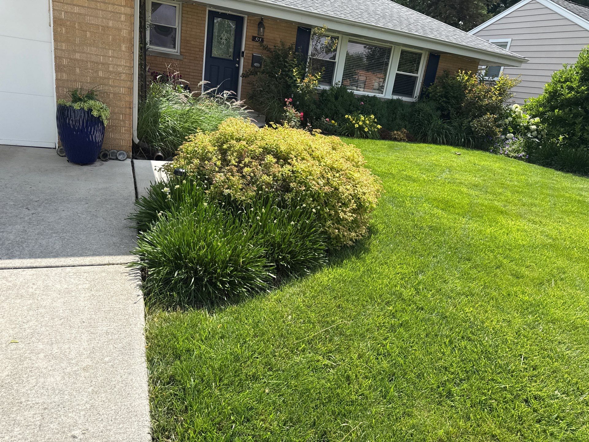 Cheris B. - Mount Prospect, IL by A&N 