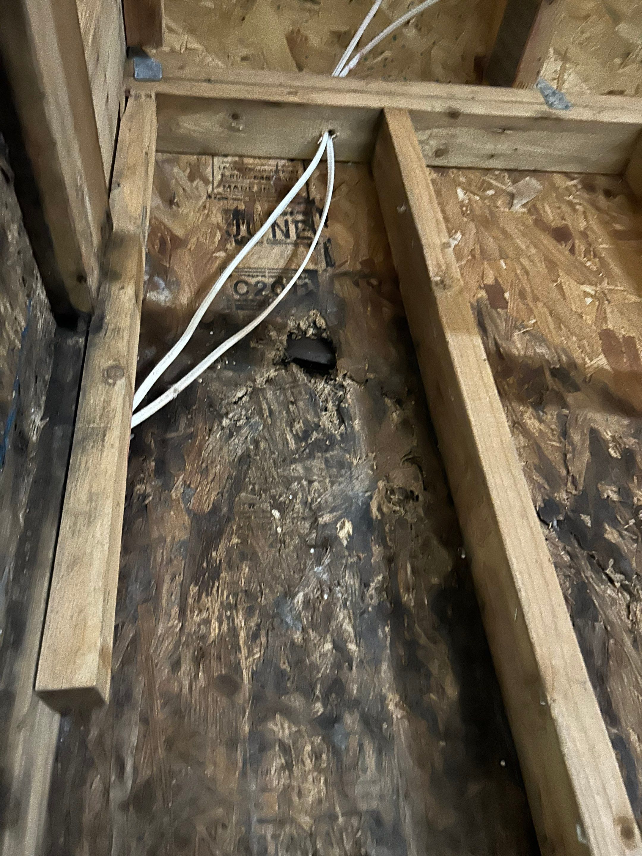 Project in St Leonard by ExteriorPros