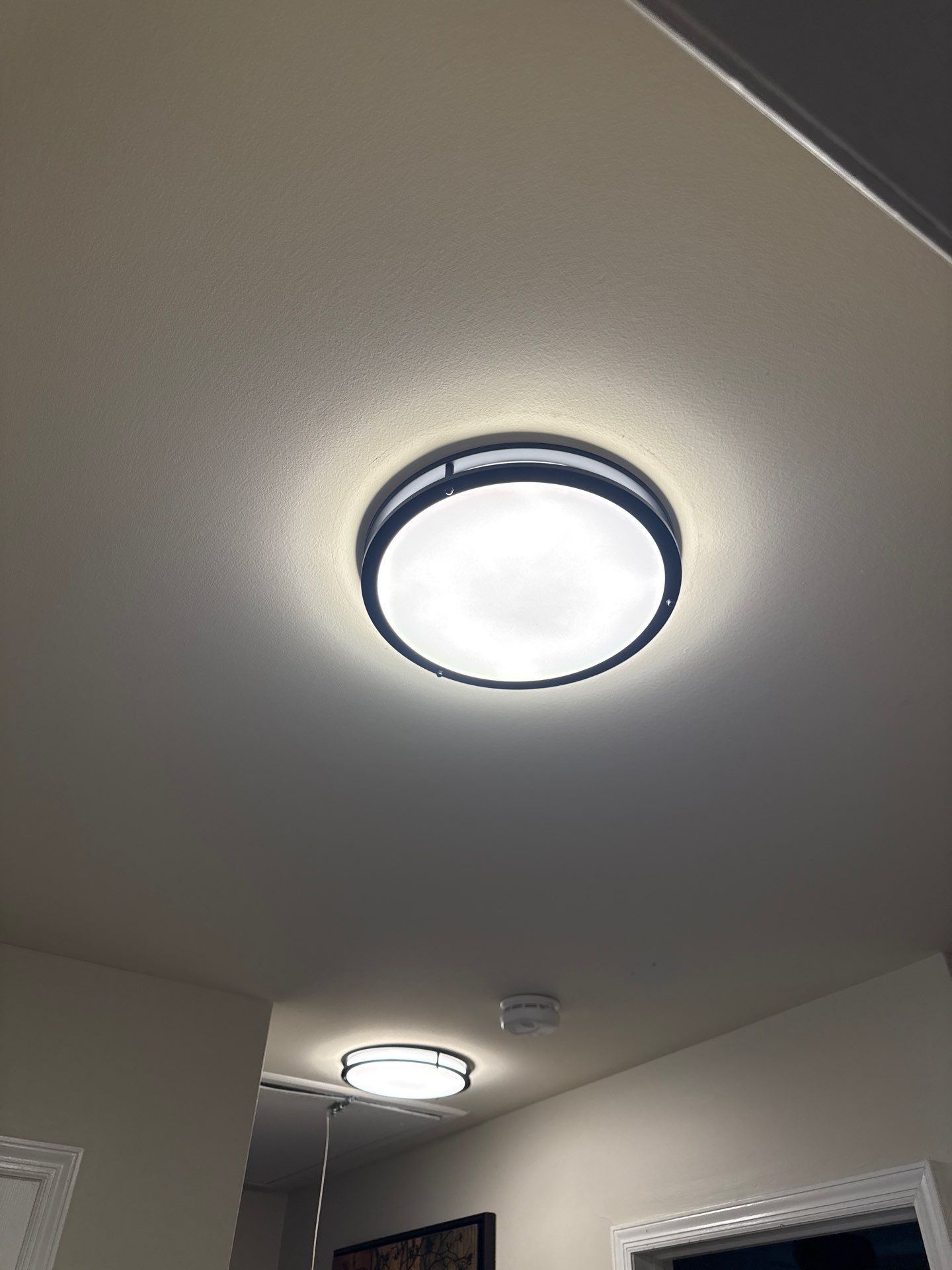 Backyard Electrical Upgrades by Spartan Home Pros