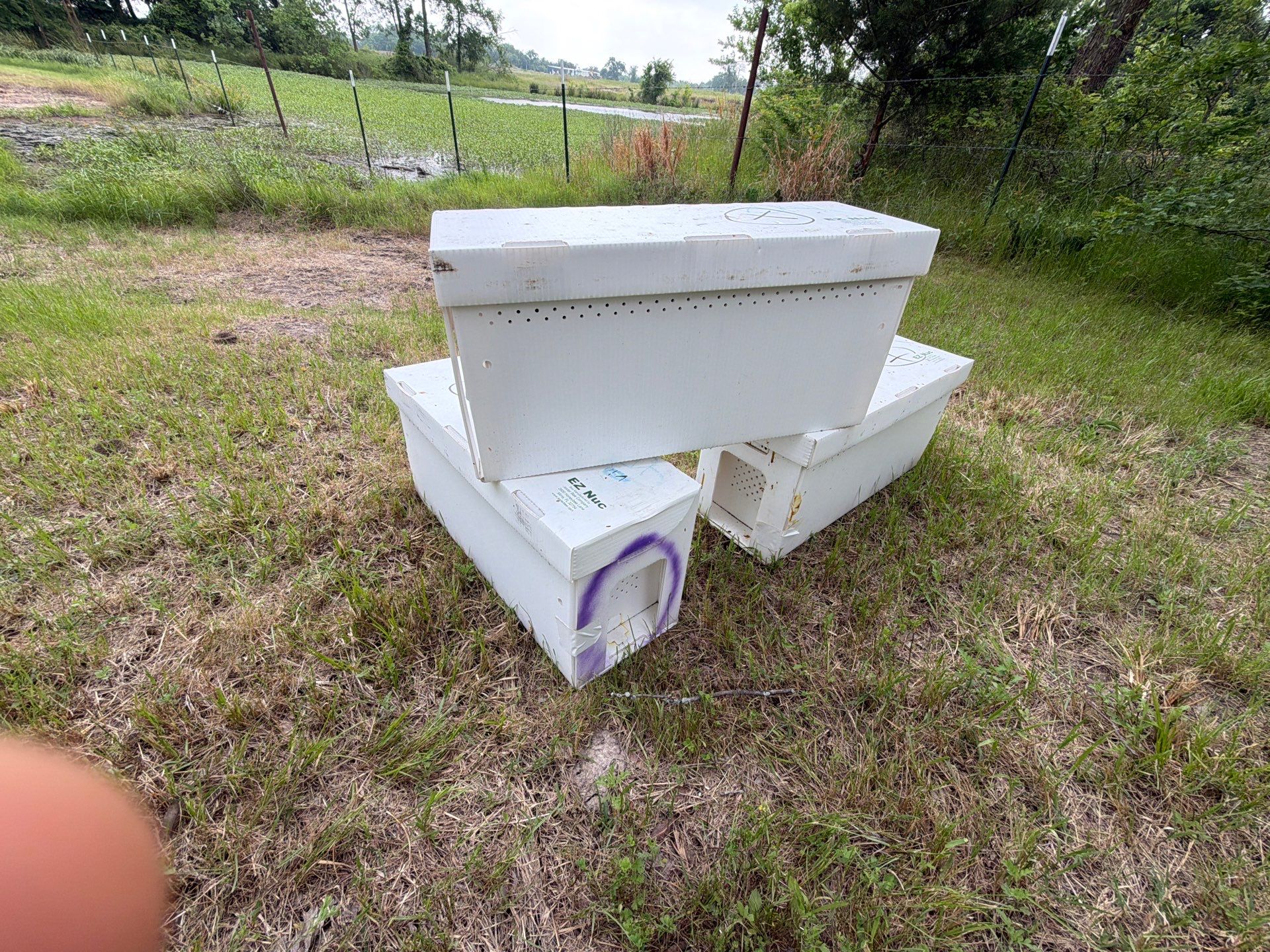 Project in Terrell, TX by Rockwall Honey Bee Company