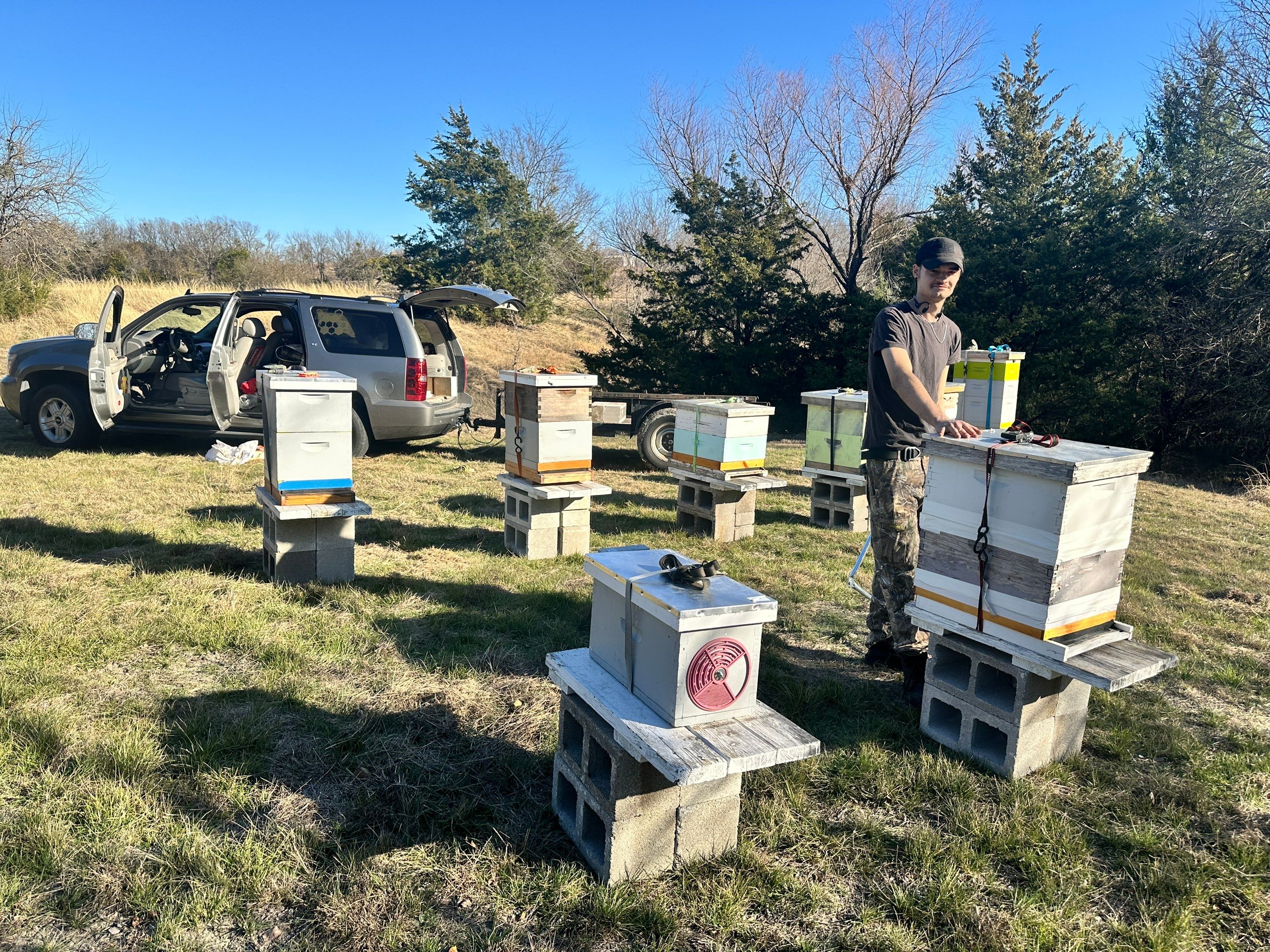 Bees for Ag. Exemption in Heath by Rockwall Honey Bee Company