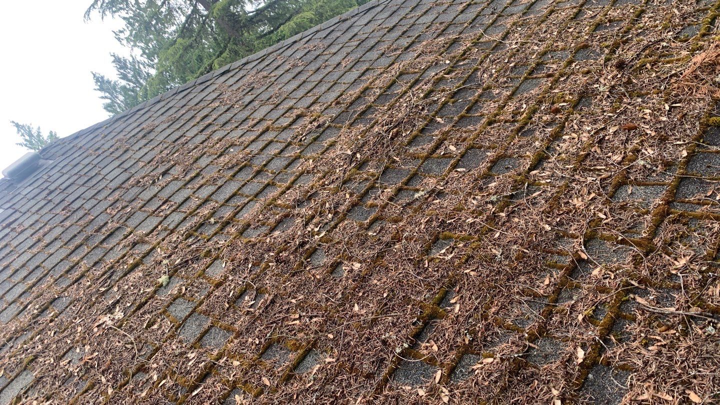 Softwashed in many Years back, and organic regrowth significant by DawnSky LLC