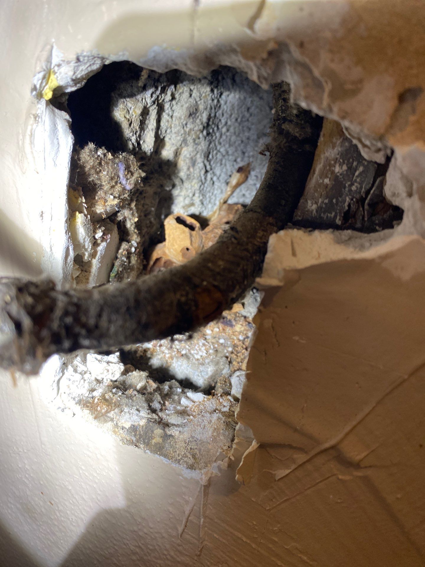 Dryer Meltdown by Elite Electrical Solutions LLC