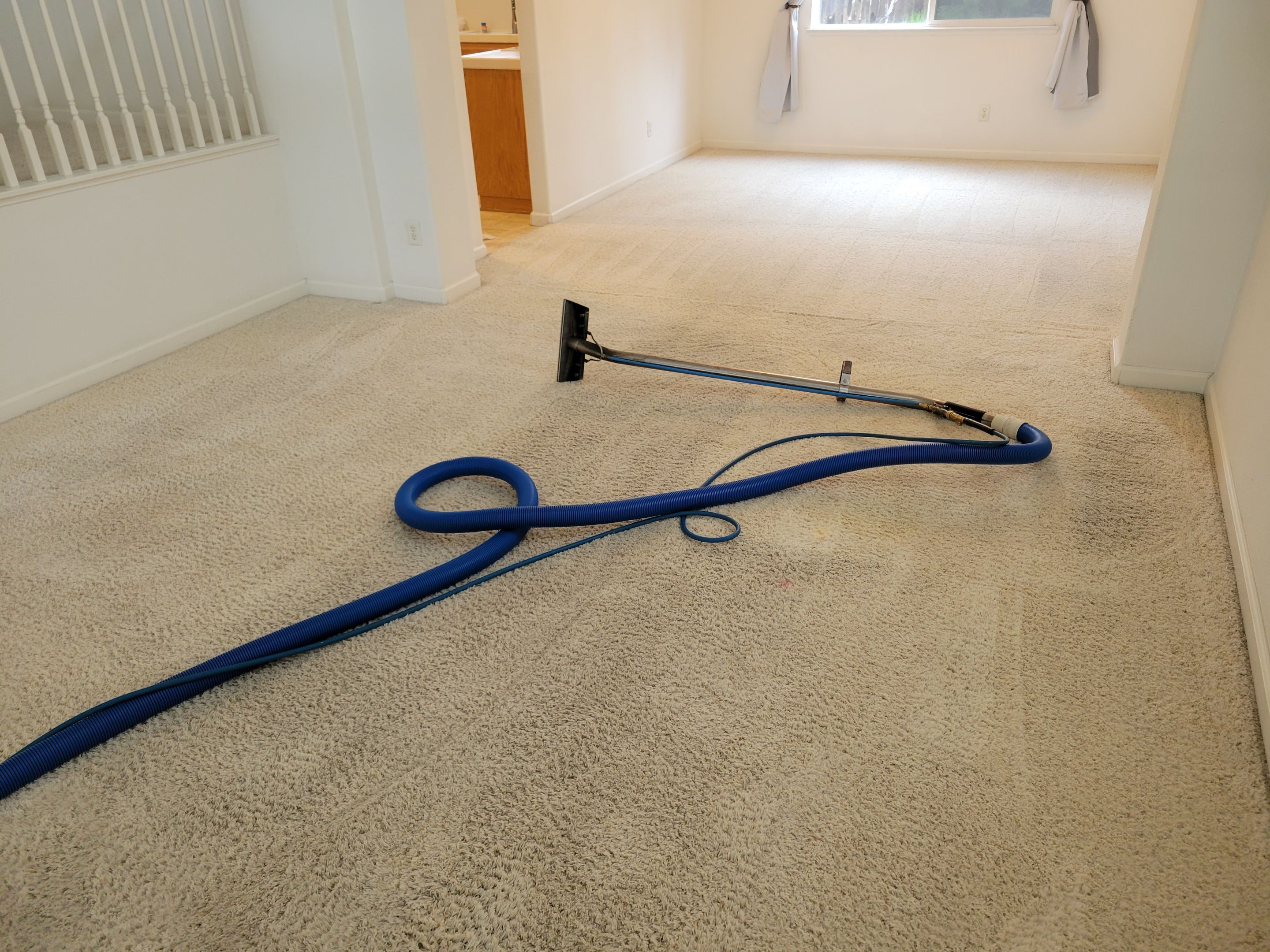 Traffic Carpet Fiber Abrasions, Cleaning by Ardent Carpet Restore LLC