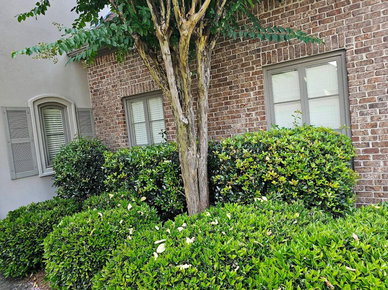 Cambron Project in Hoover by The Window Source