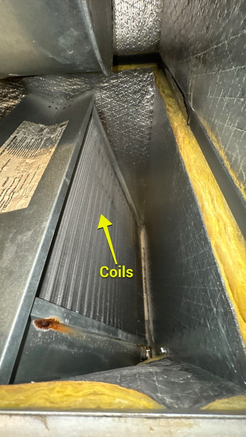Air Duct and Dryer Vent Cleaning in Orlando by Hygienic Air, Inc