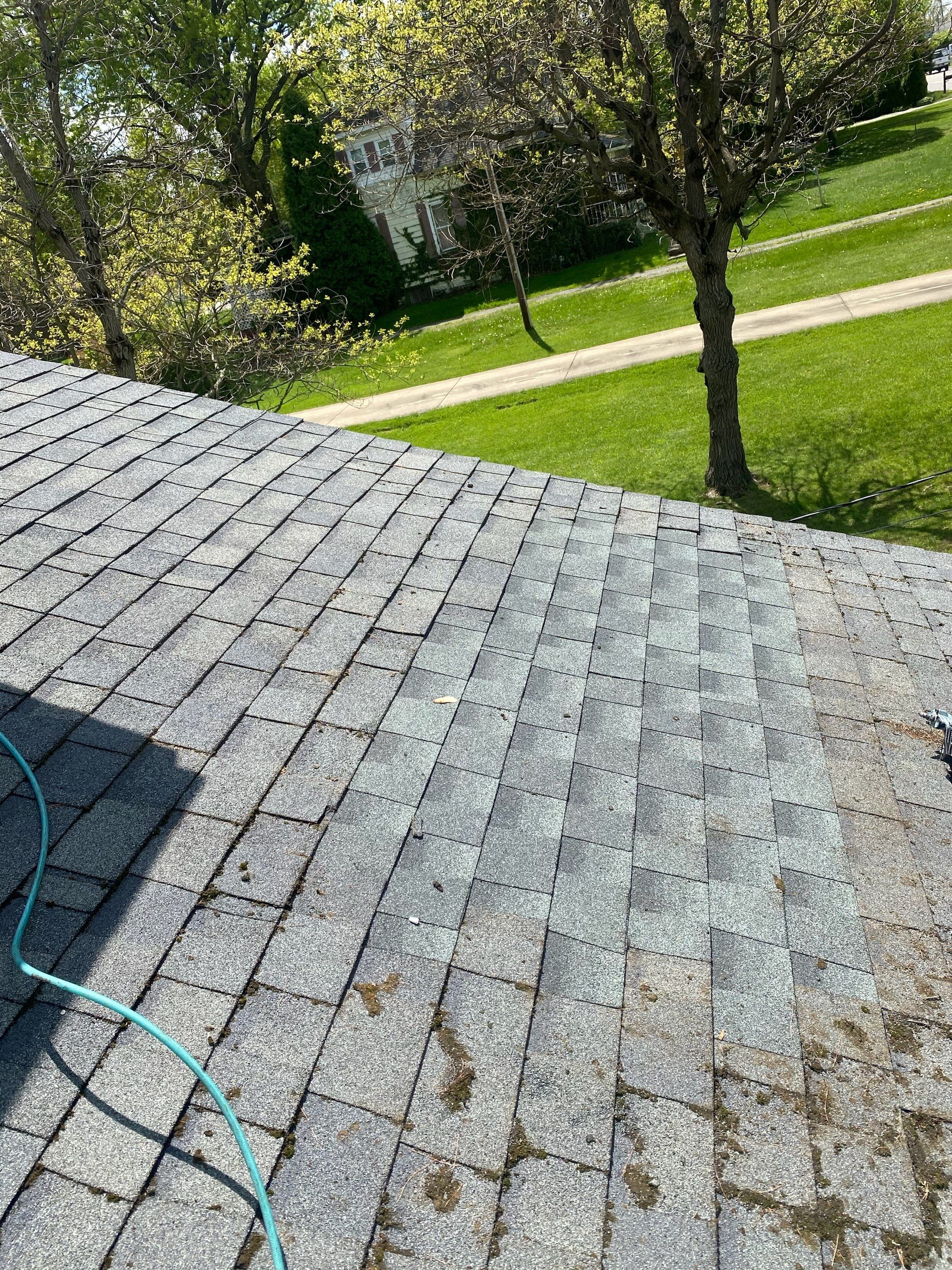 Michelle Putnam  by Silver Leaf Contracting 