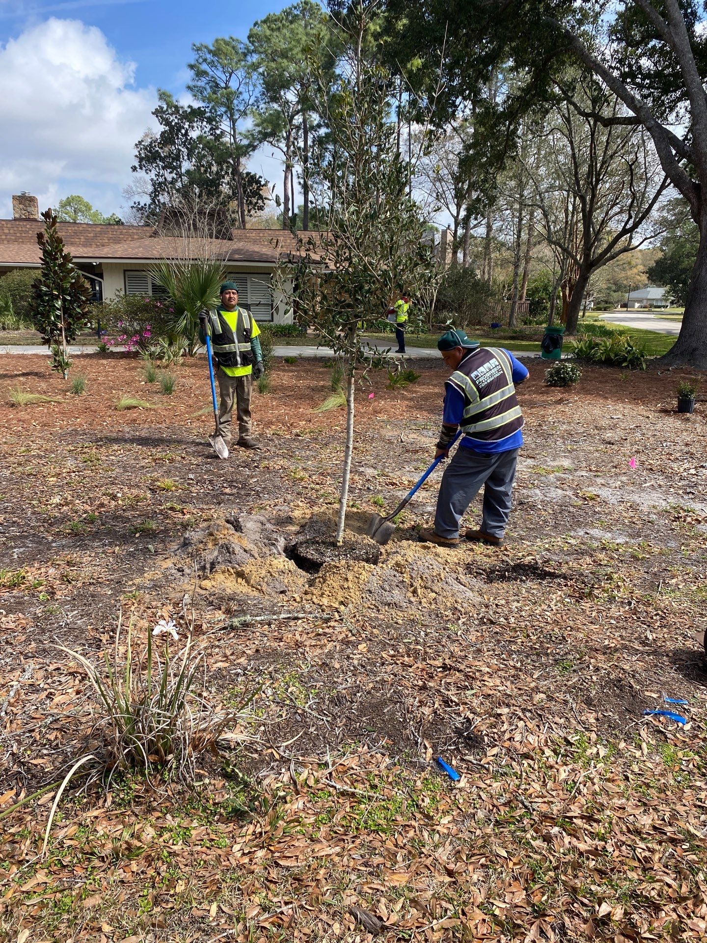 Deerwood Resident | Tree Install by ProGreen Services