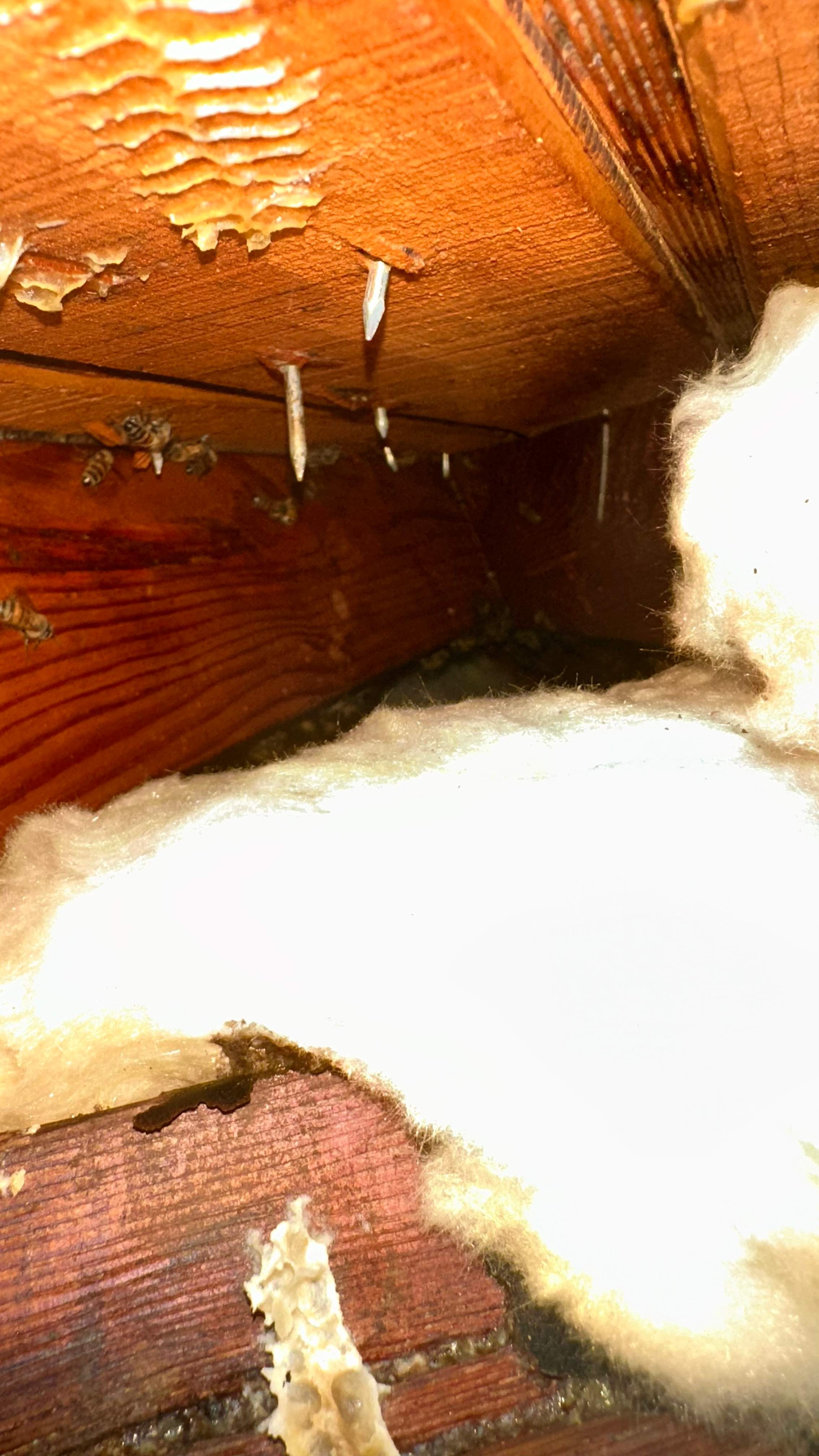 Golf Couse by Rockwall Honey Bee Company