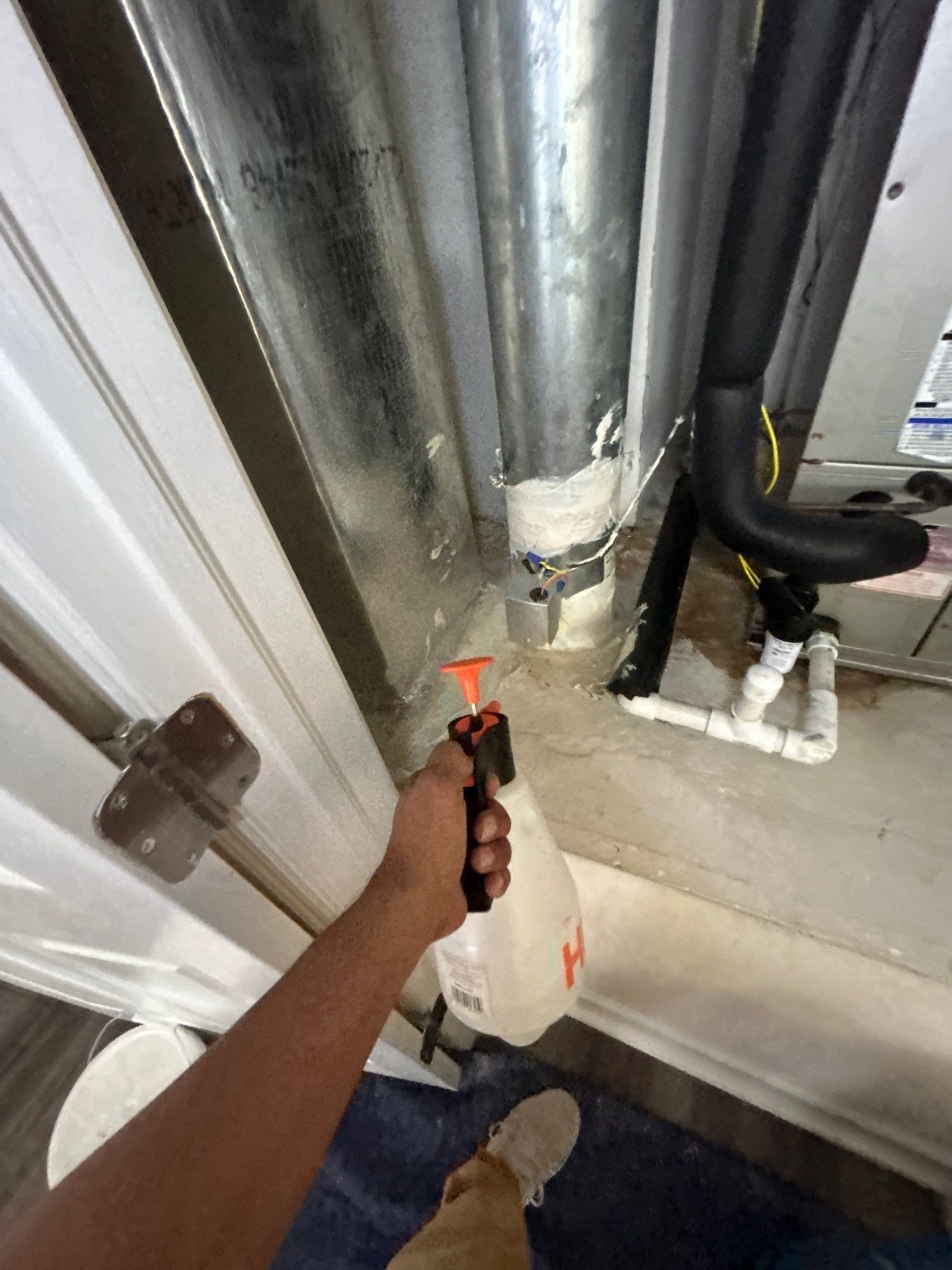 Sarasota Mold Damage by Ampm Restoration Services