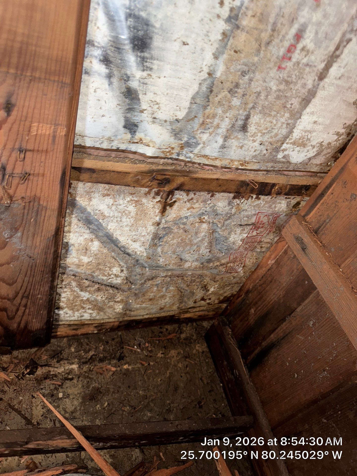 BIOHAZARD by SuperClean 