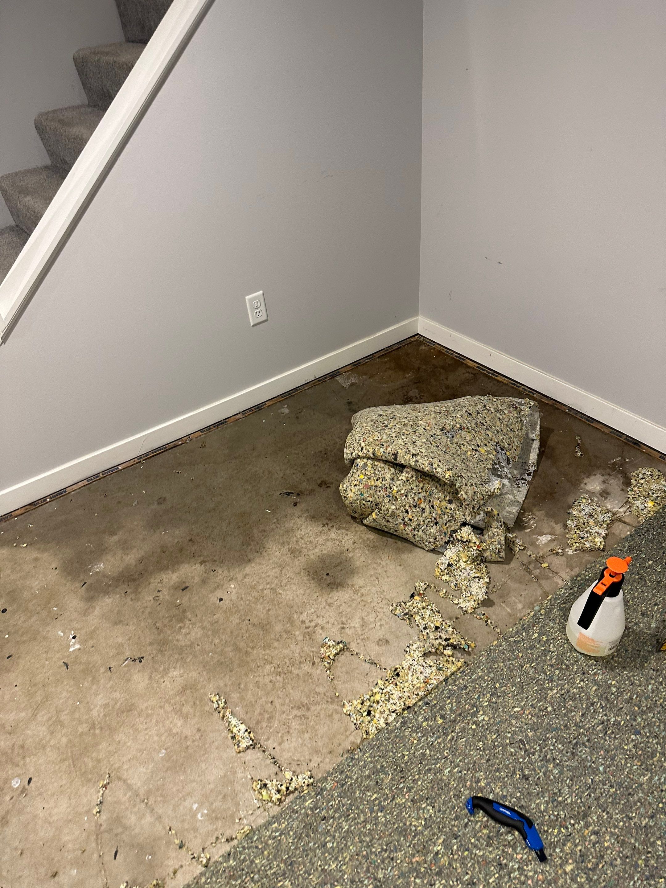 Basemen Oder removal with mold remediation and carpet pad replacement by BlueRed Restoration