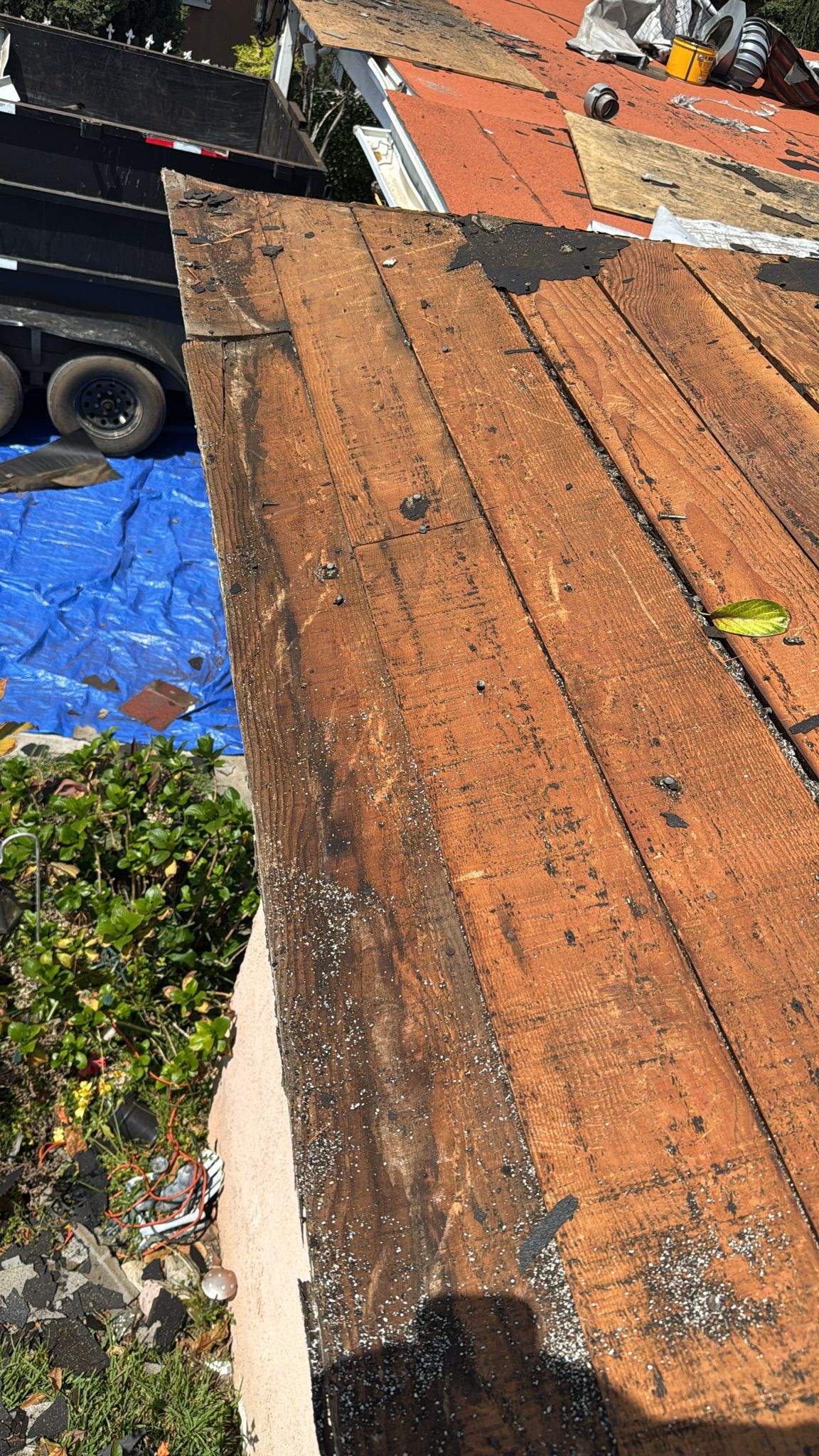 Roof Replacement - 12566 Mineola St by Epic Roof Replacement