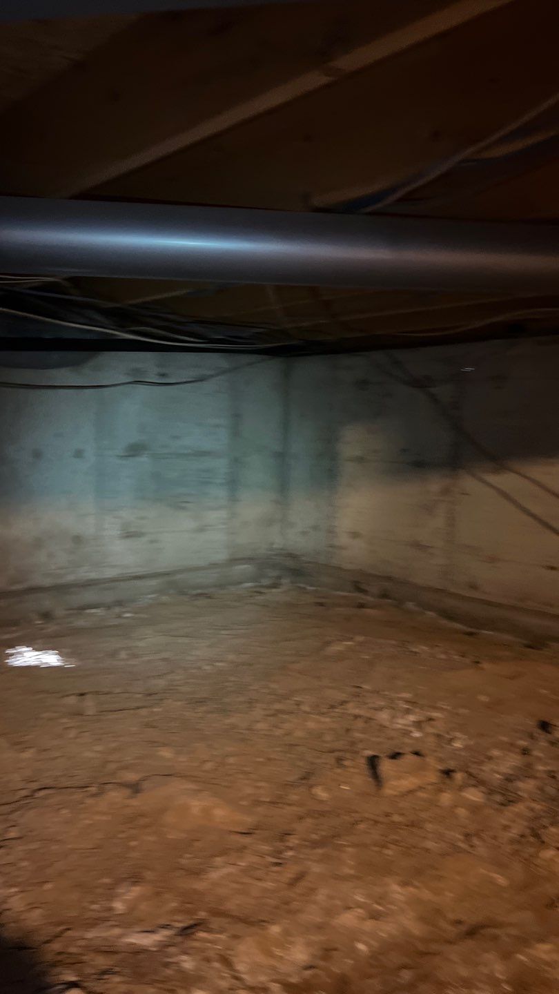 Mold Damage by Accountable Home Services