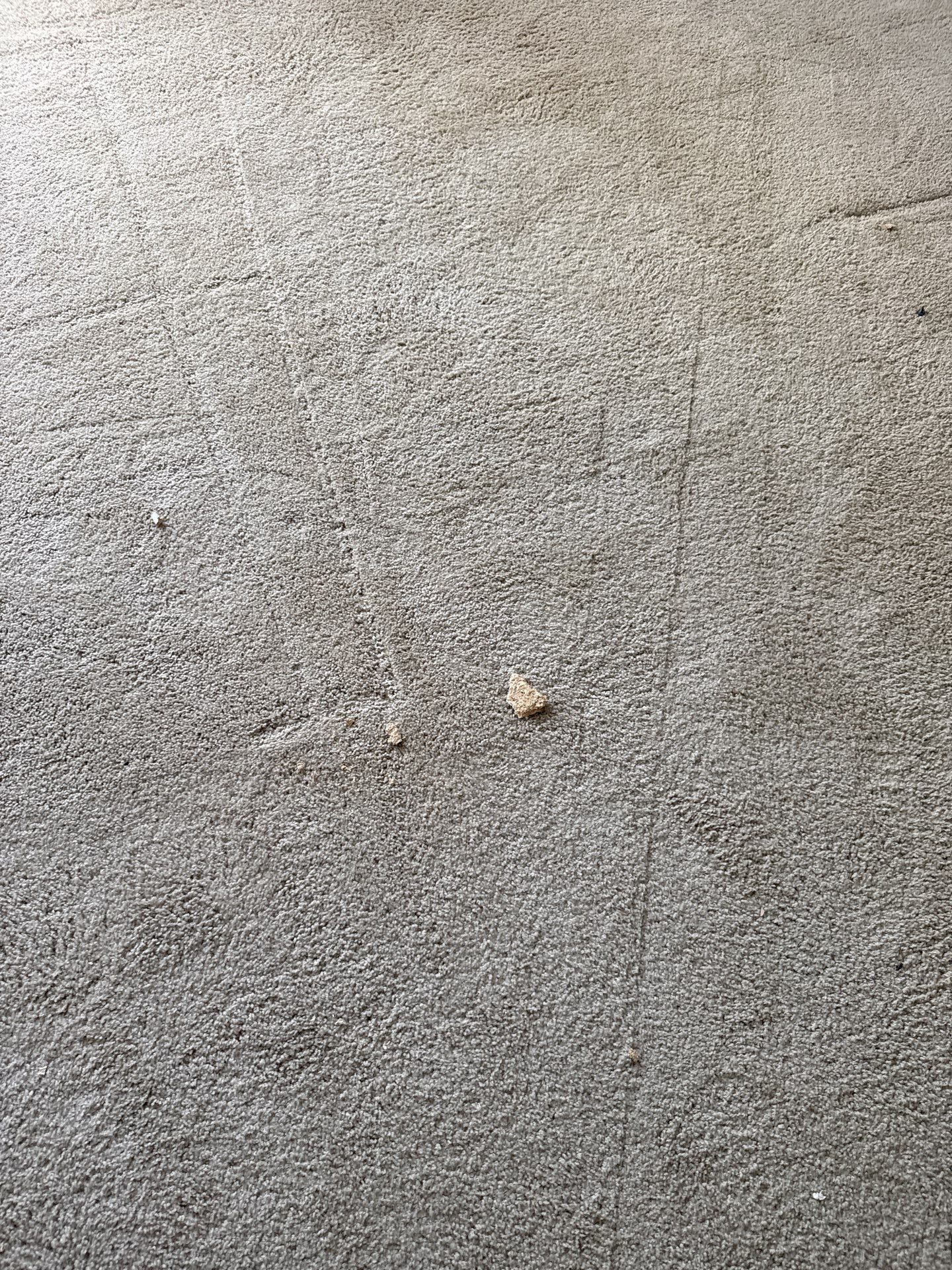 Project in Charlotte by Badger Hauling