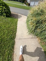 Roof Cleaning in Sparta, NJ — Gallo Bros job photo