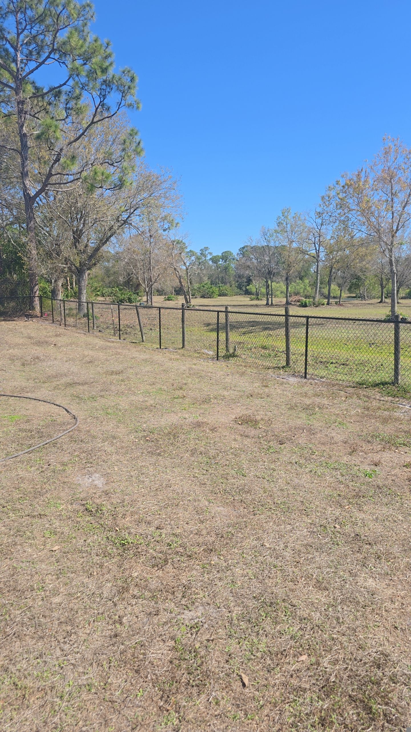 Chain Link Fence in Punta Gorda by True Fence LLC