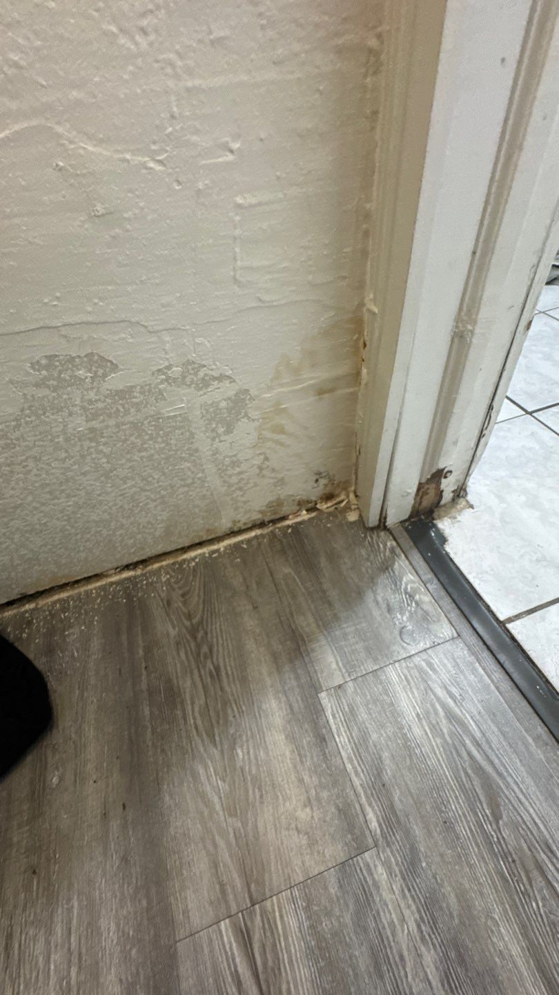 Mold Damage Project in Denver by Accountable Home Services