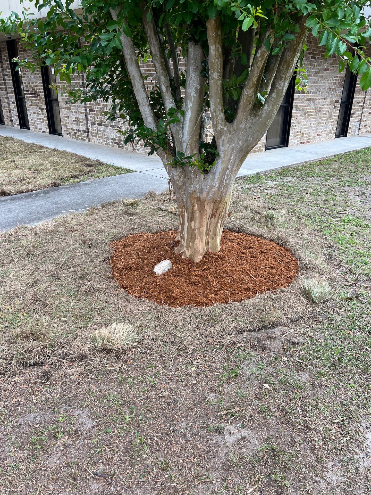 Landscape Install | Keystone Heights HS by ProGreen Services