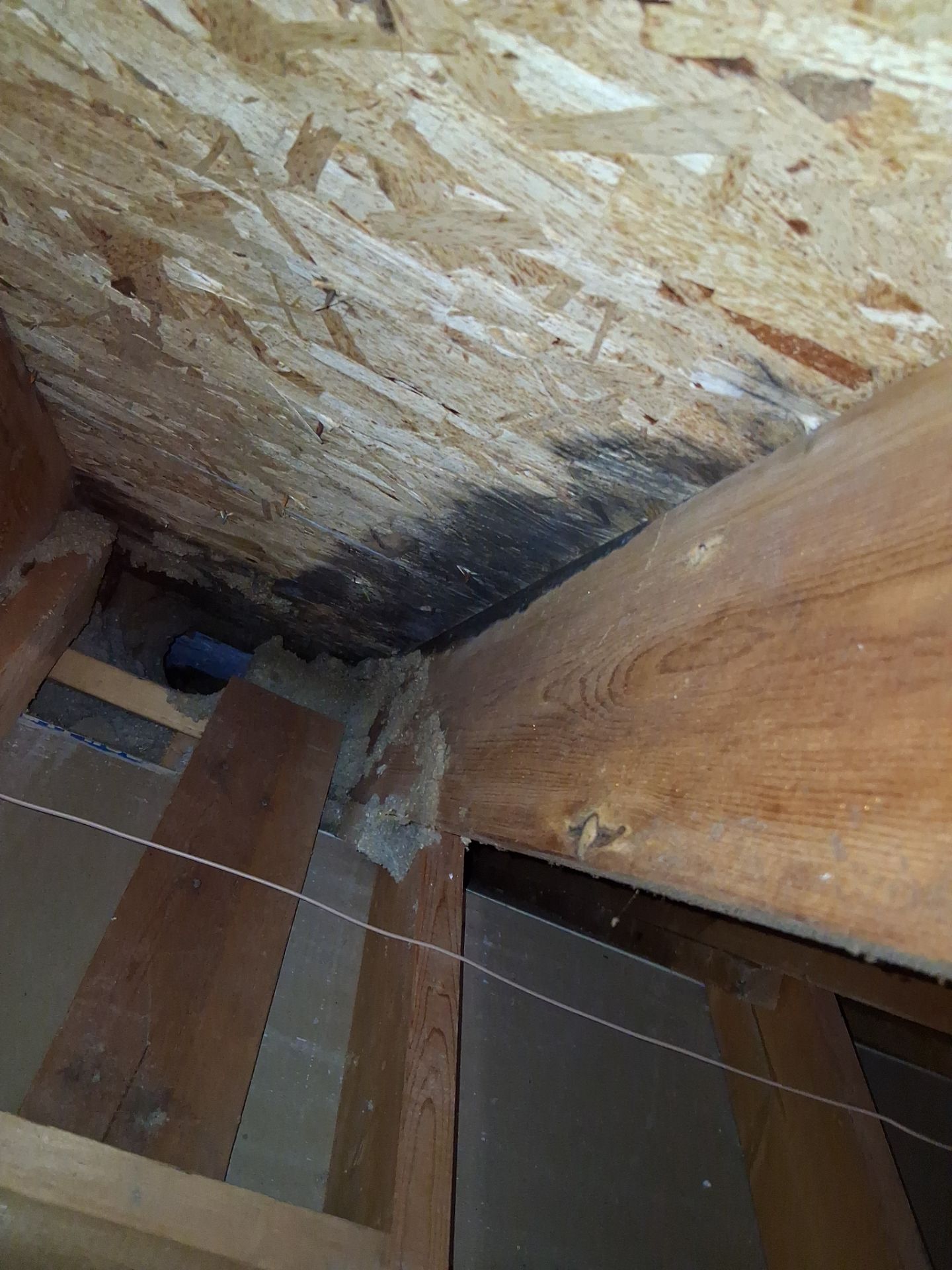 Attic Insulation and Repair by Toledo Basement Repair
