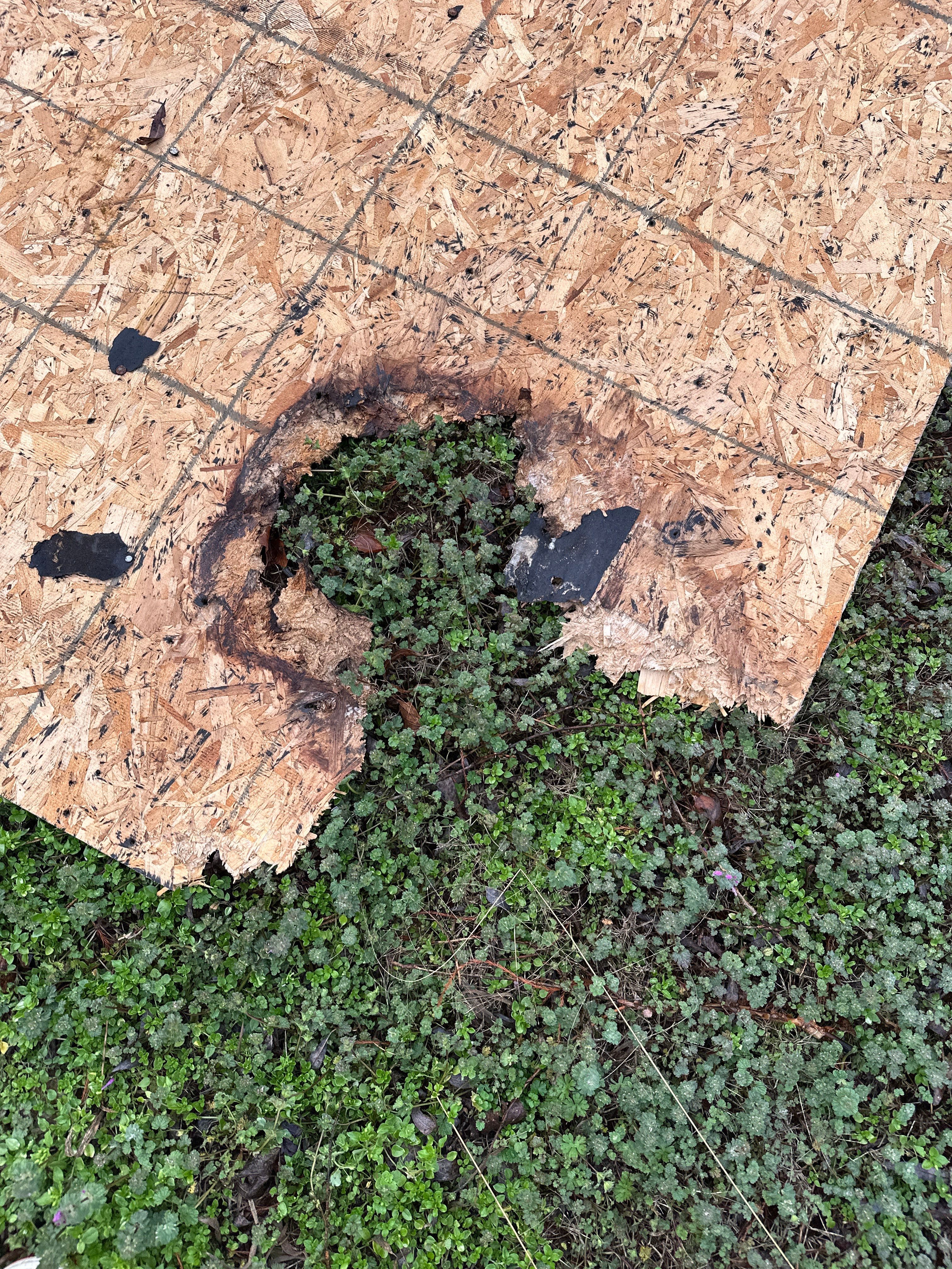 Rustic Black - Strong by BayCo Roofing